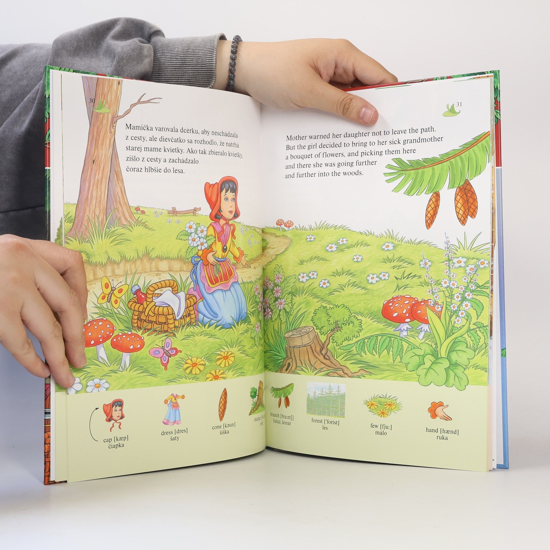 Autorenkollektiv Rozprávky po slovensky i po anglicky