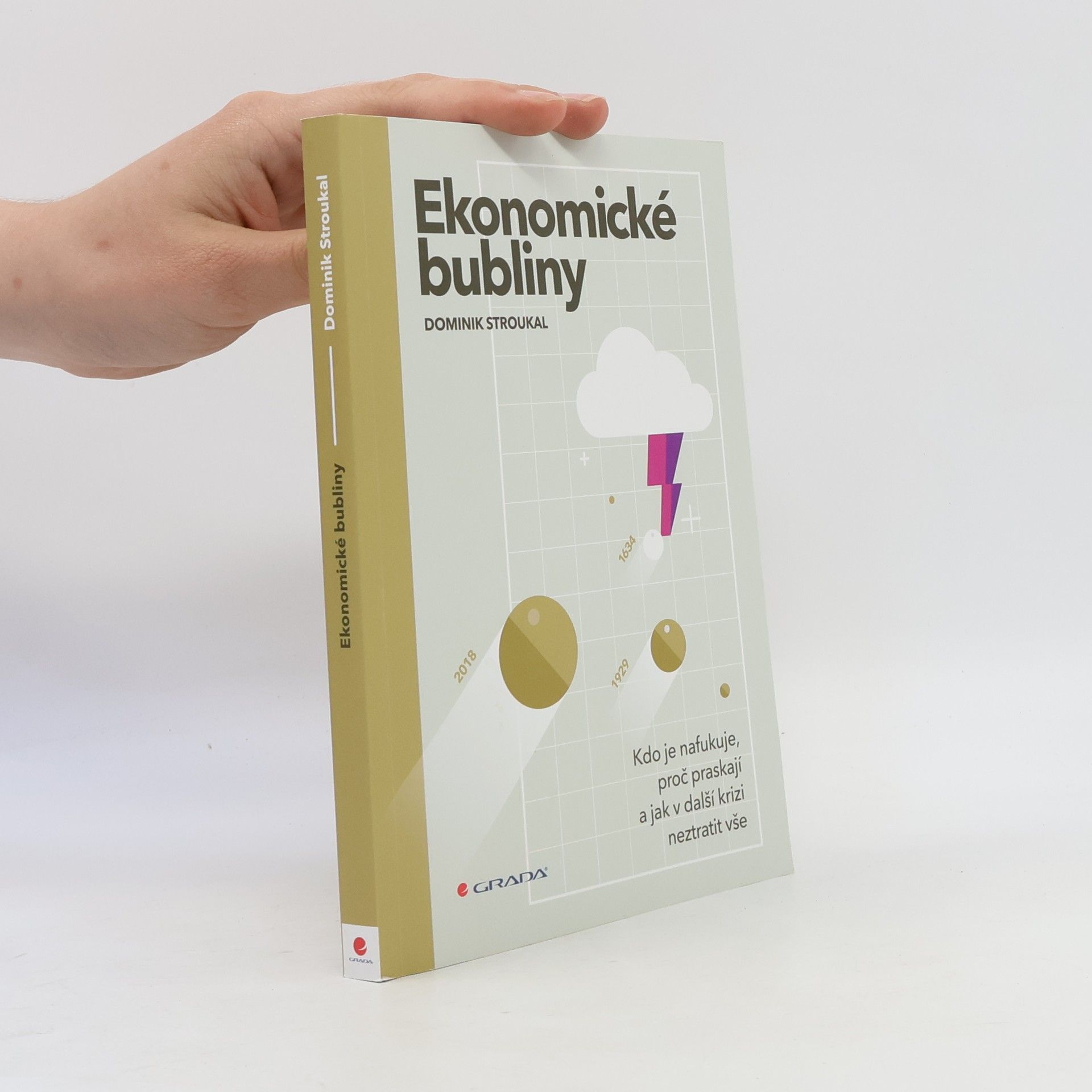 Dominik Stroukal Ekonomické bubliny