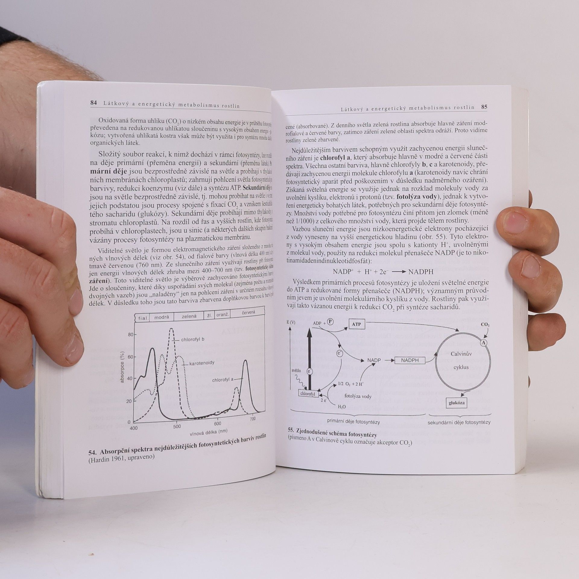 Lubomír Kincl Biologie rostlin: Pro 1. ročník gymnázií