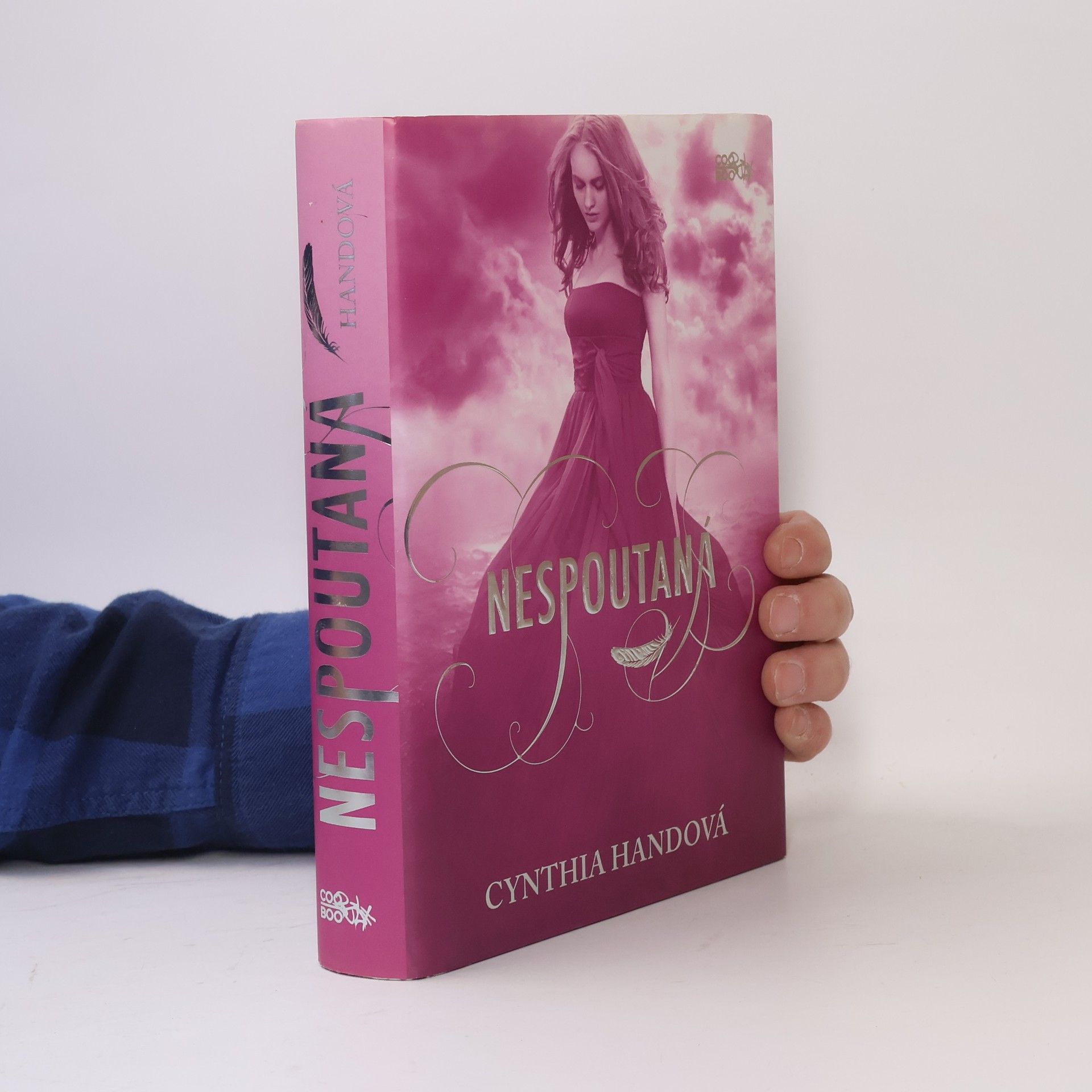 Cynthia Hand Nespoutaná. Třetí díl