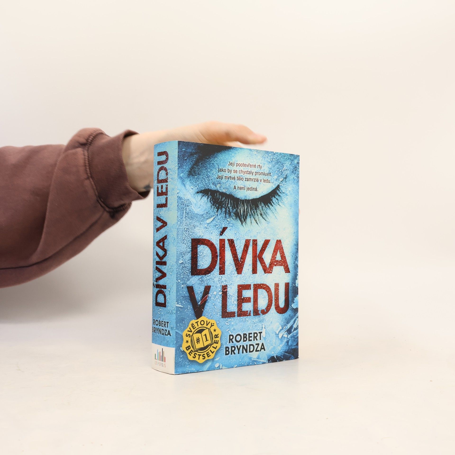 Robert Bryndza Dívka v ledu