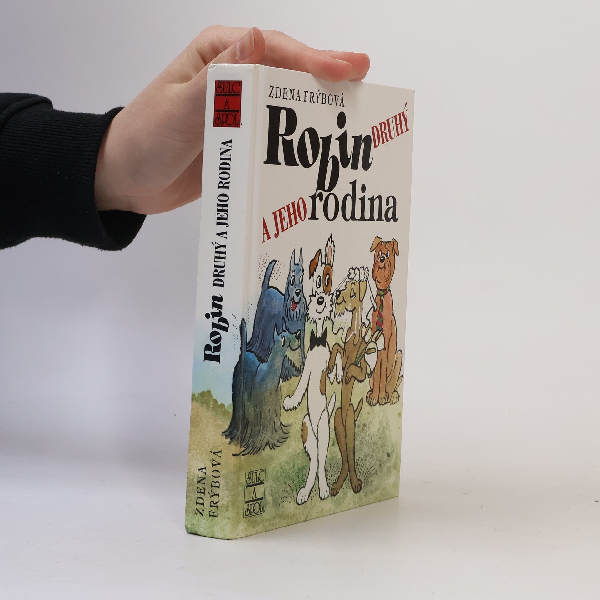 Robin Druhý a jeho rodina