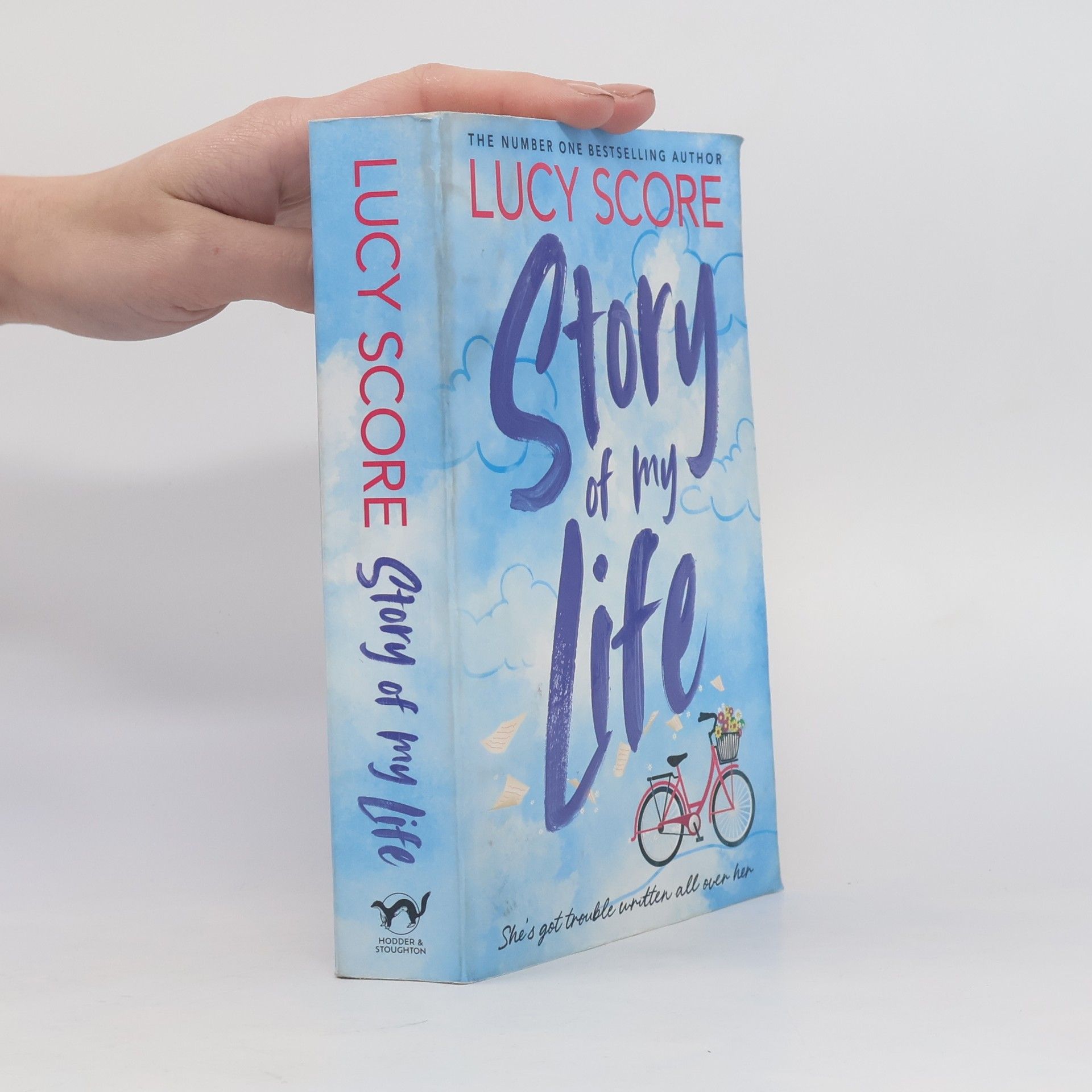 Lucy Score Story of My Life