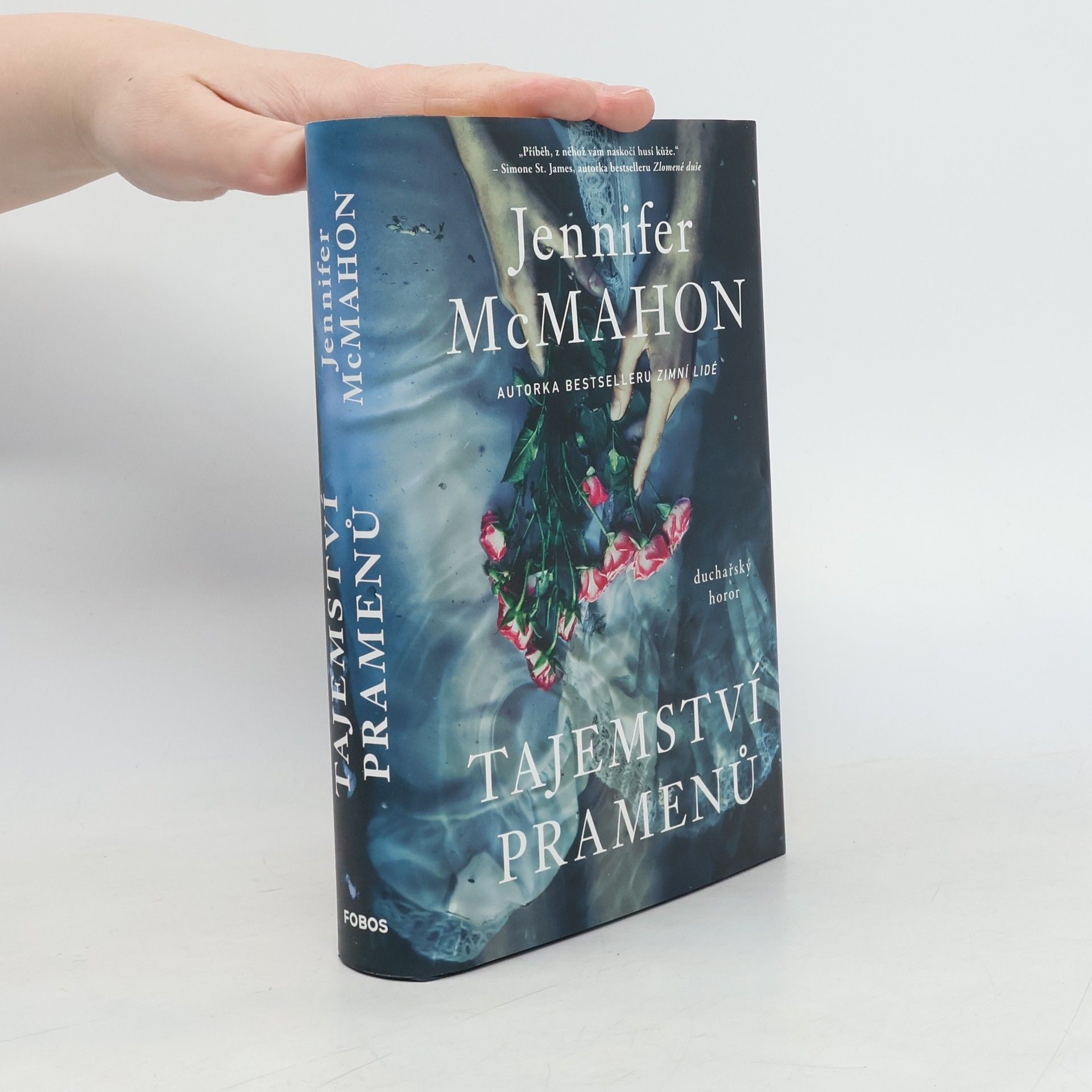 Jennifer McMahon Tajemství pramenů