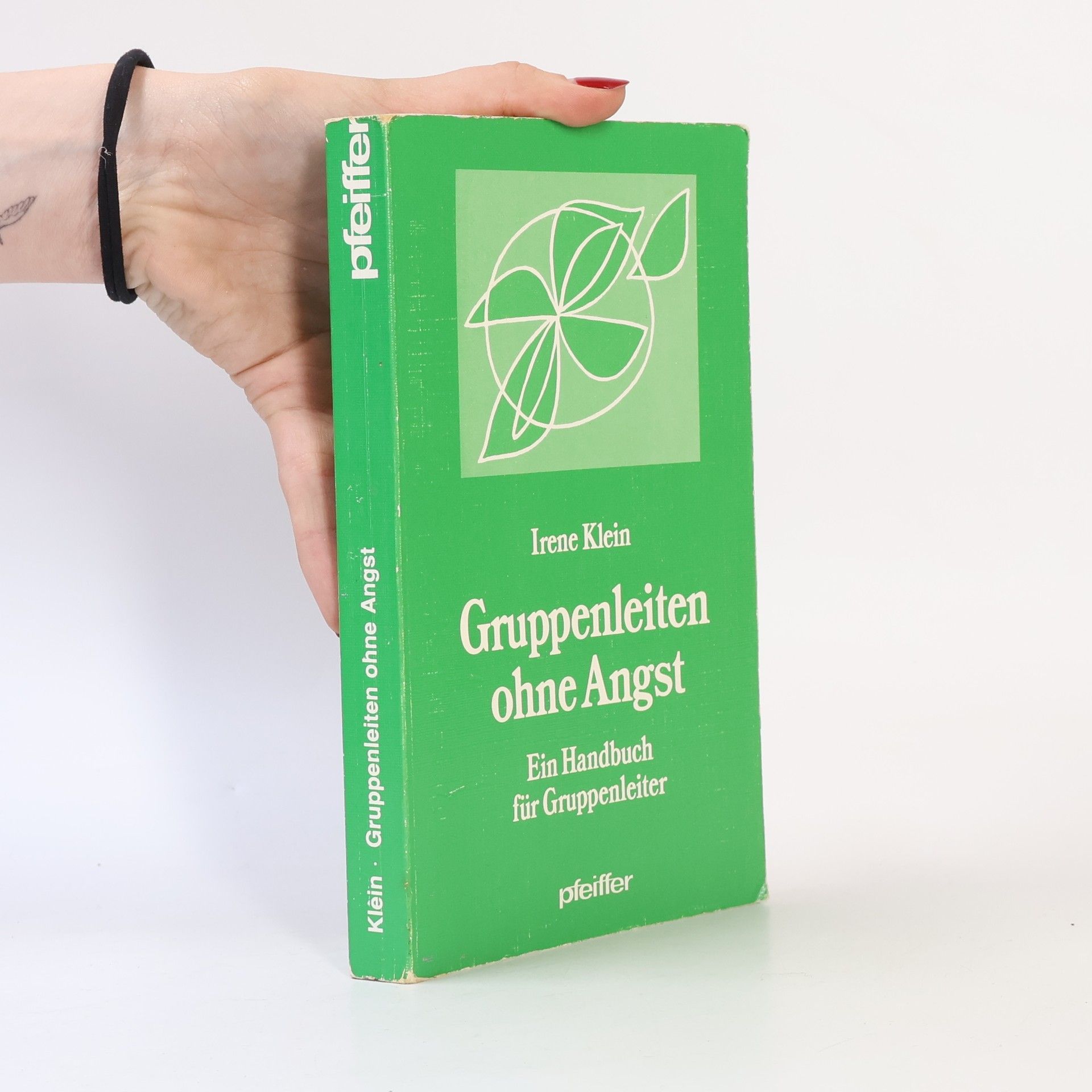 Irene Klein Gruppenleiten ohne Angst