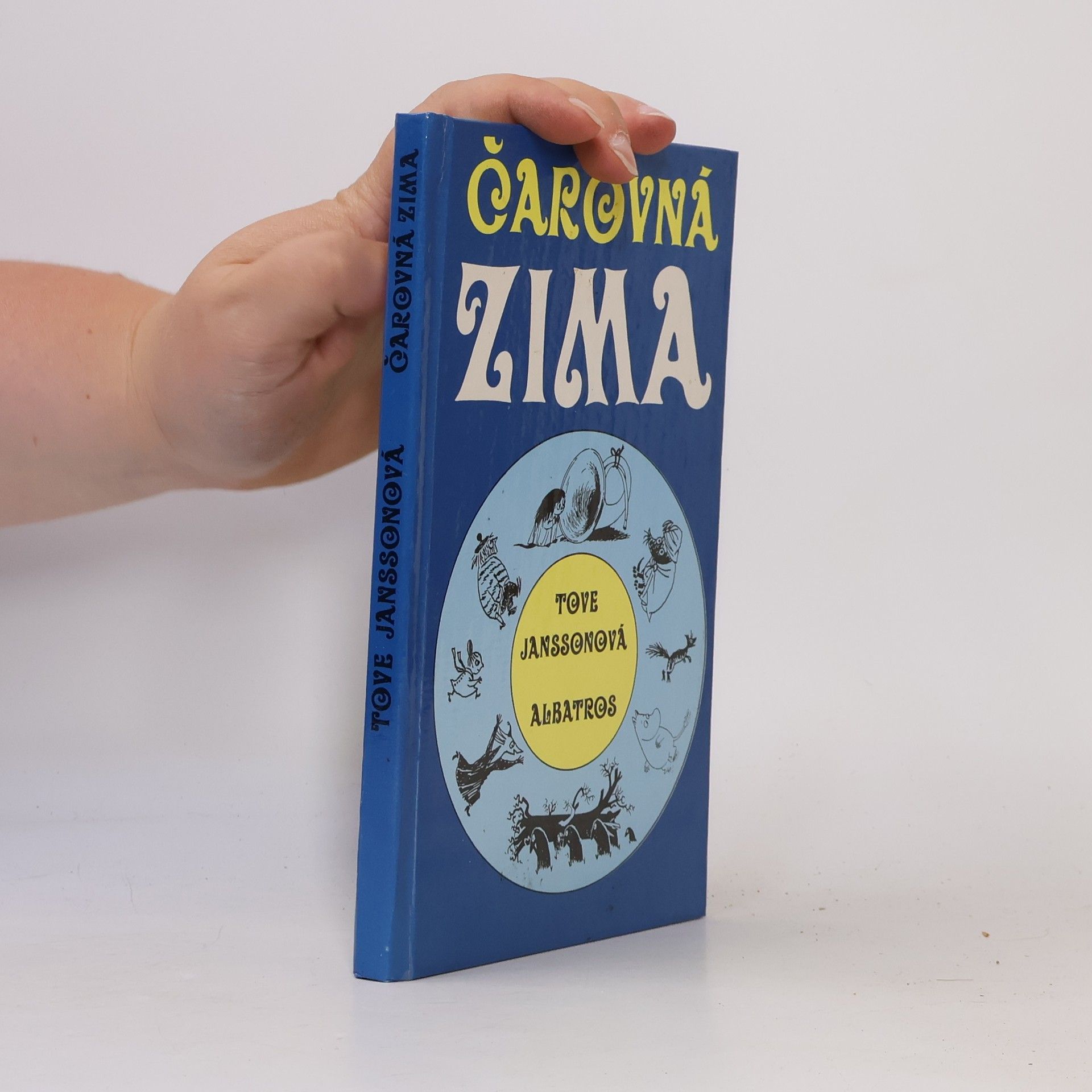 Čarovná zima