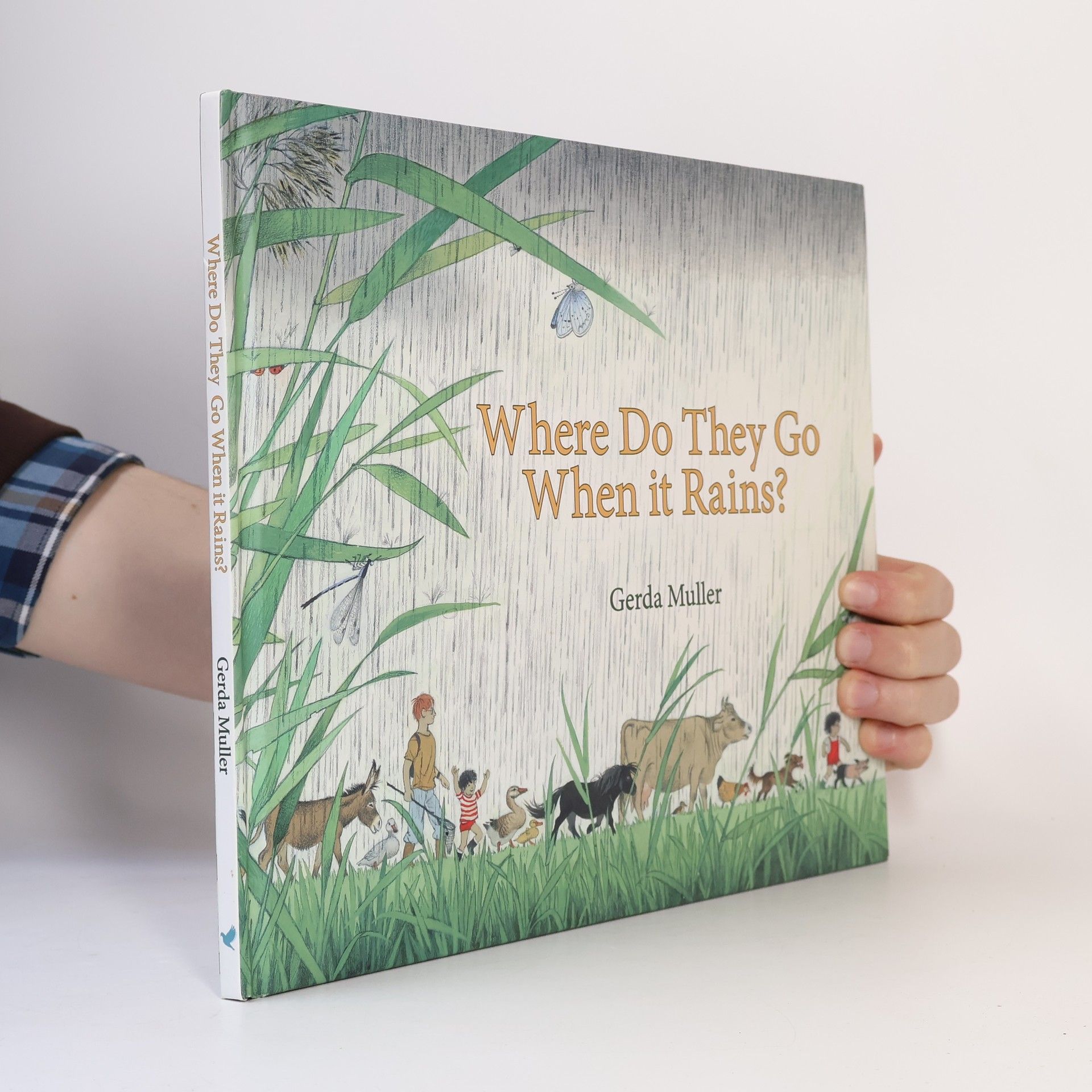 Gerda Muller Where Do They Go When It Rains?