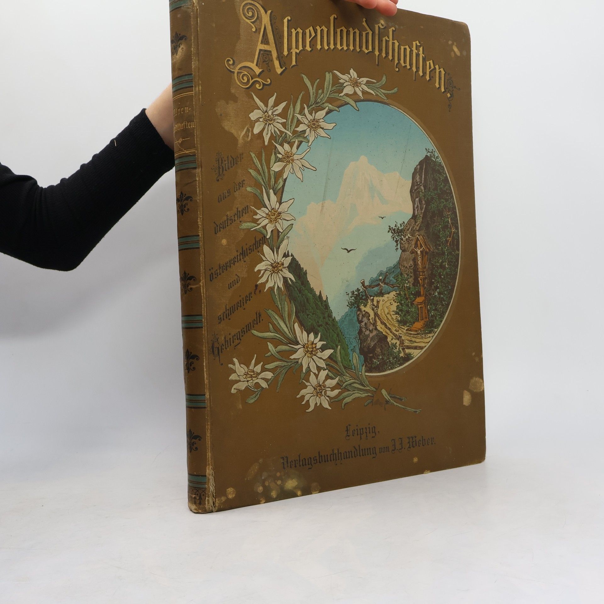 Collectif d'auteurs Alpenlandschaften