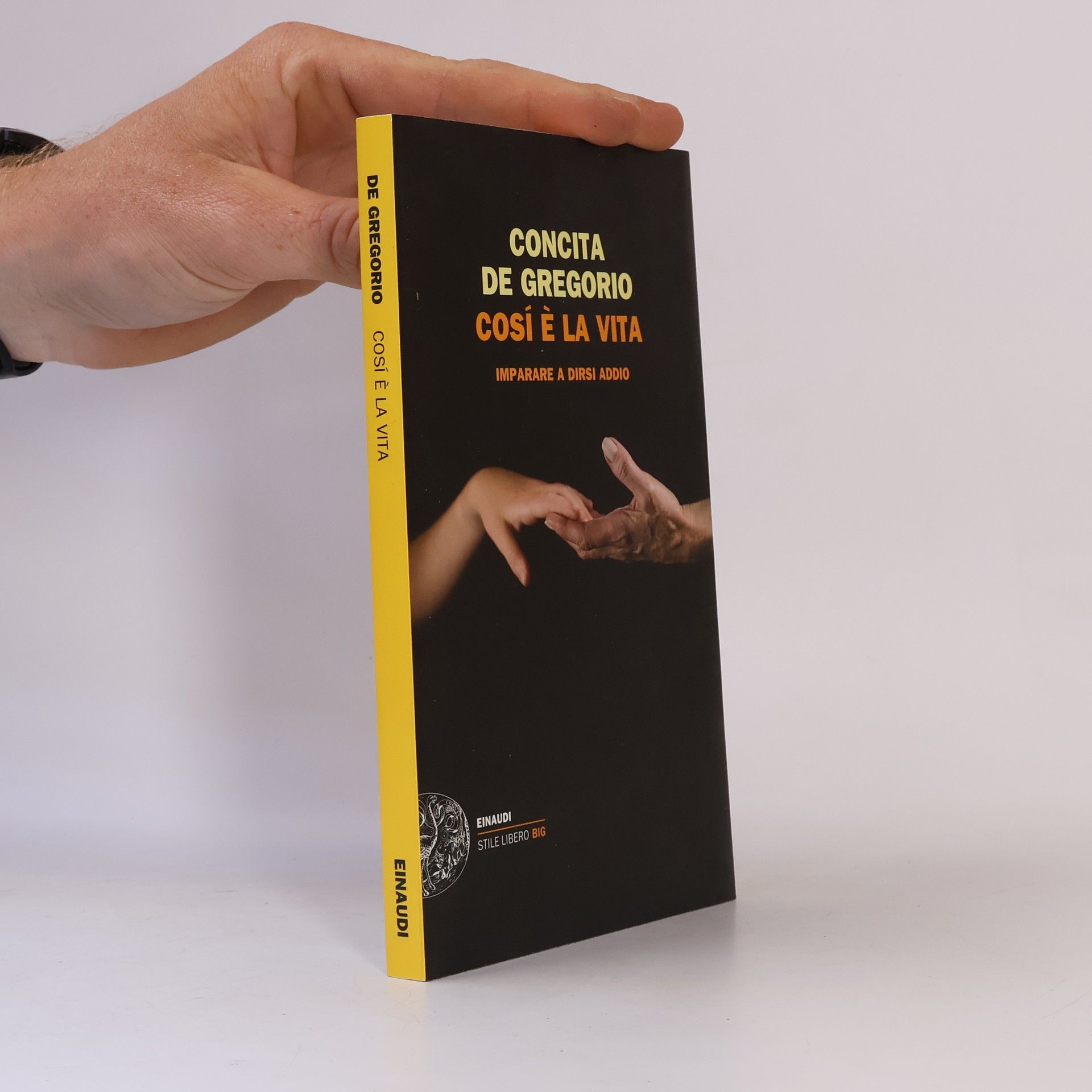 Così è la vita. Imparare a dirsi addio