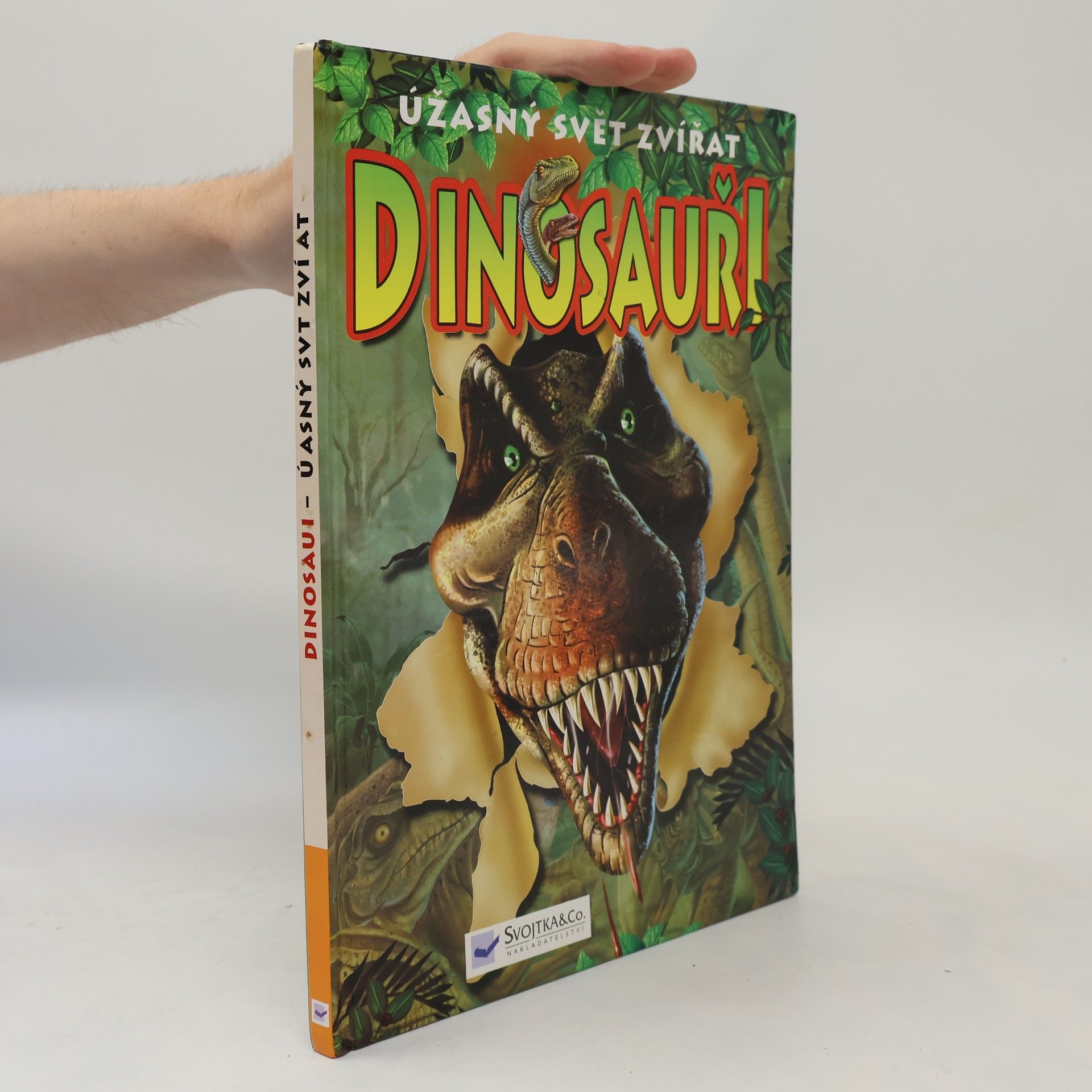 Martin Hrubeš Dinosauři : úžasný svět zvířat