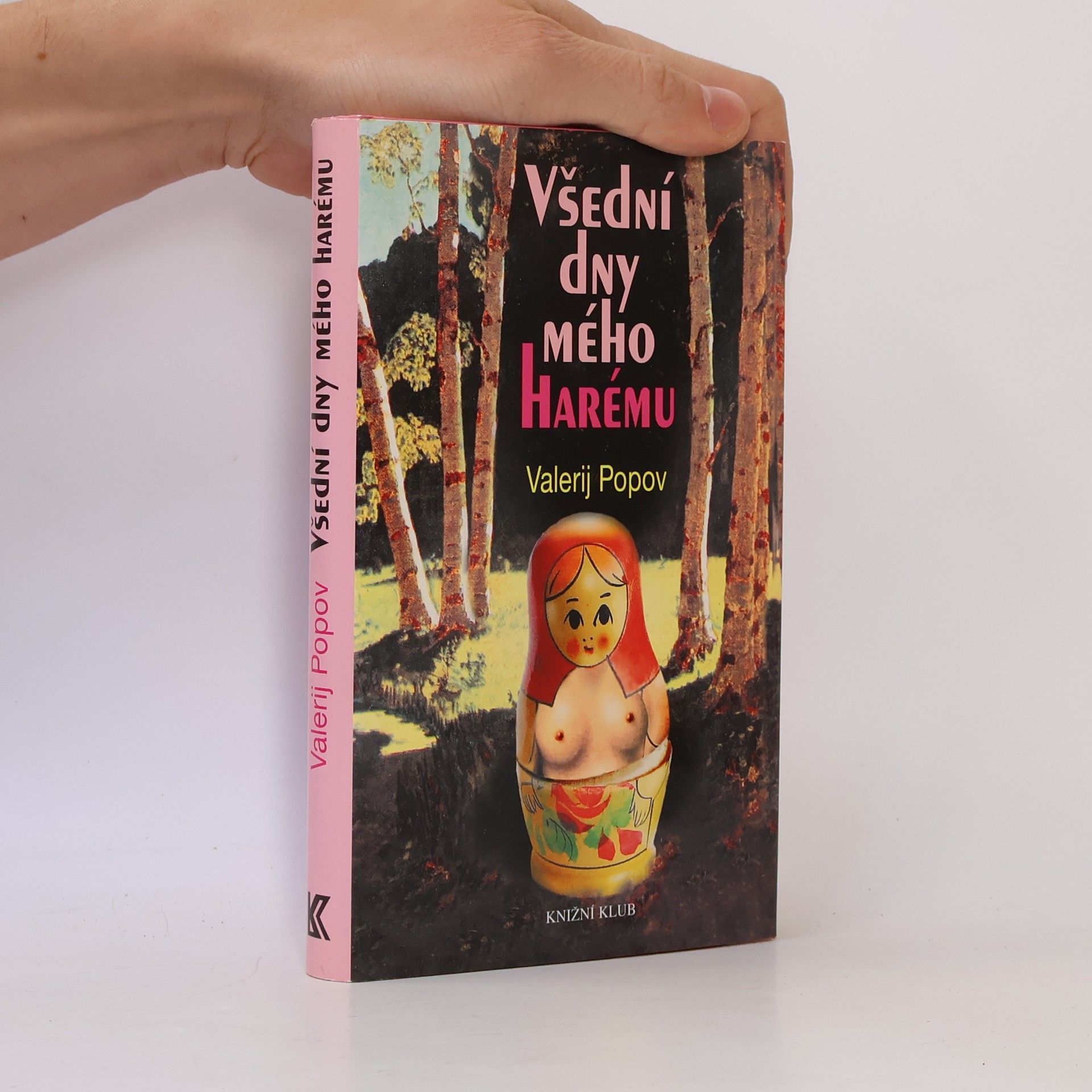 Valery Popov Všední dny mého harému