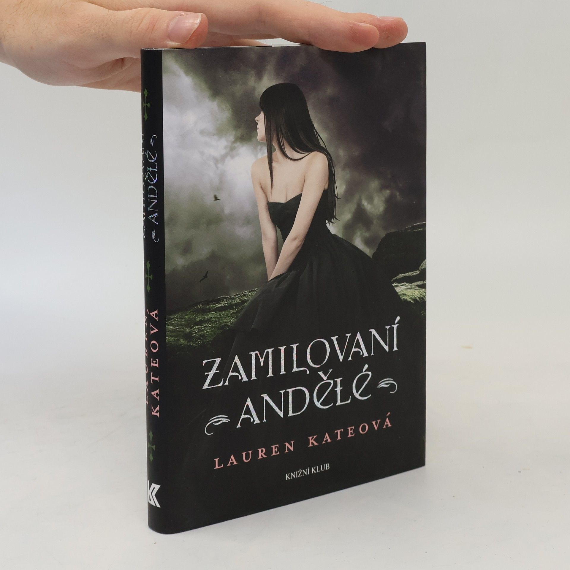 Lauren Kate Zamilovaní andělé