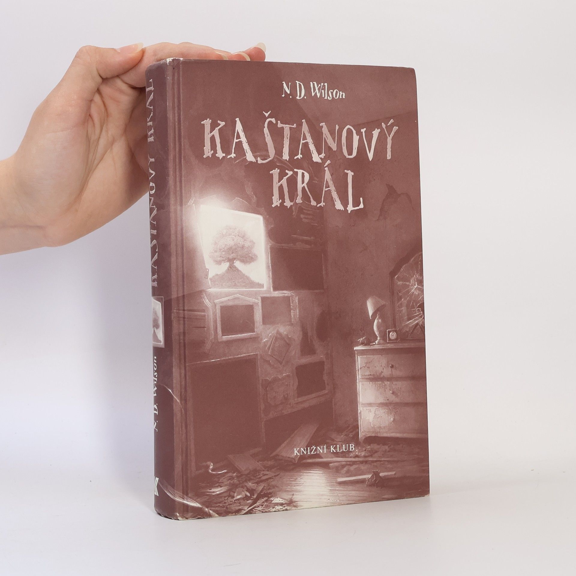 N. D. Wilson Kaštanový král