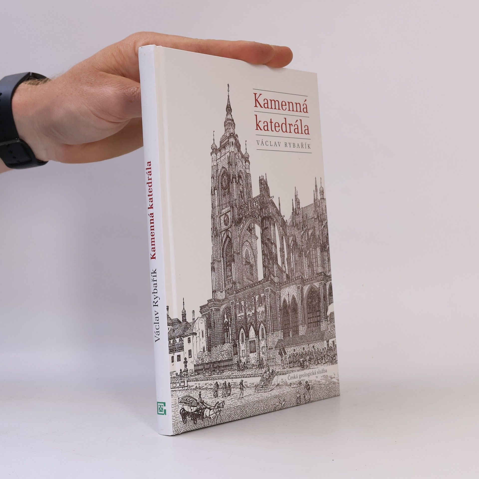 Václav Rybařík Kamenná katedrála : kámen v historii stavby, výzdoby a oprav katedrály sv. Víta, Václava a Vojtěcha v Praze