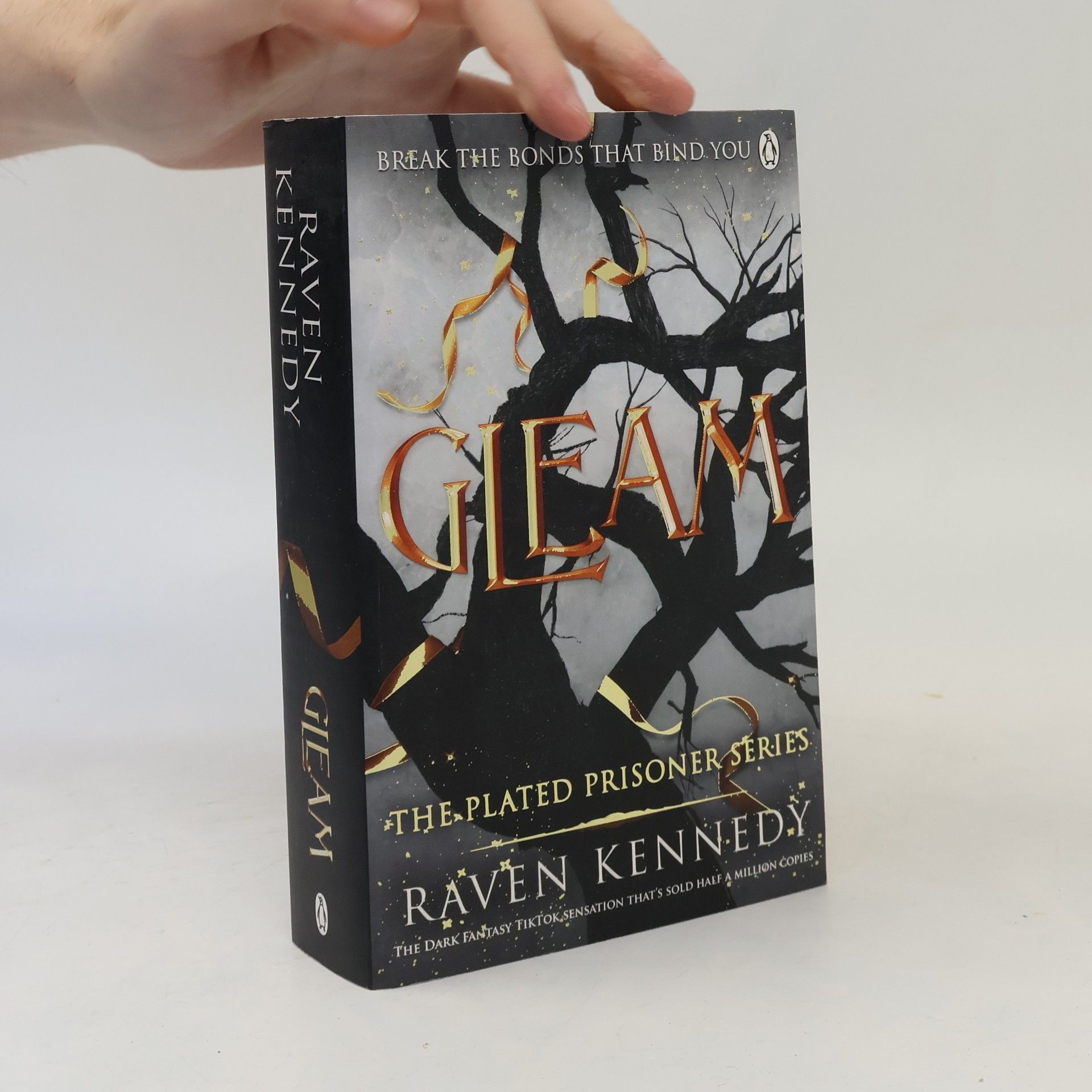 Raven Kennedy Gleam