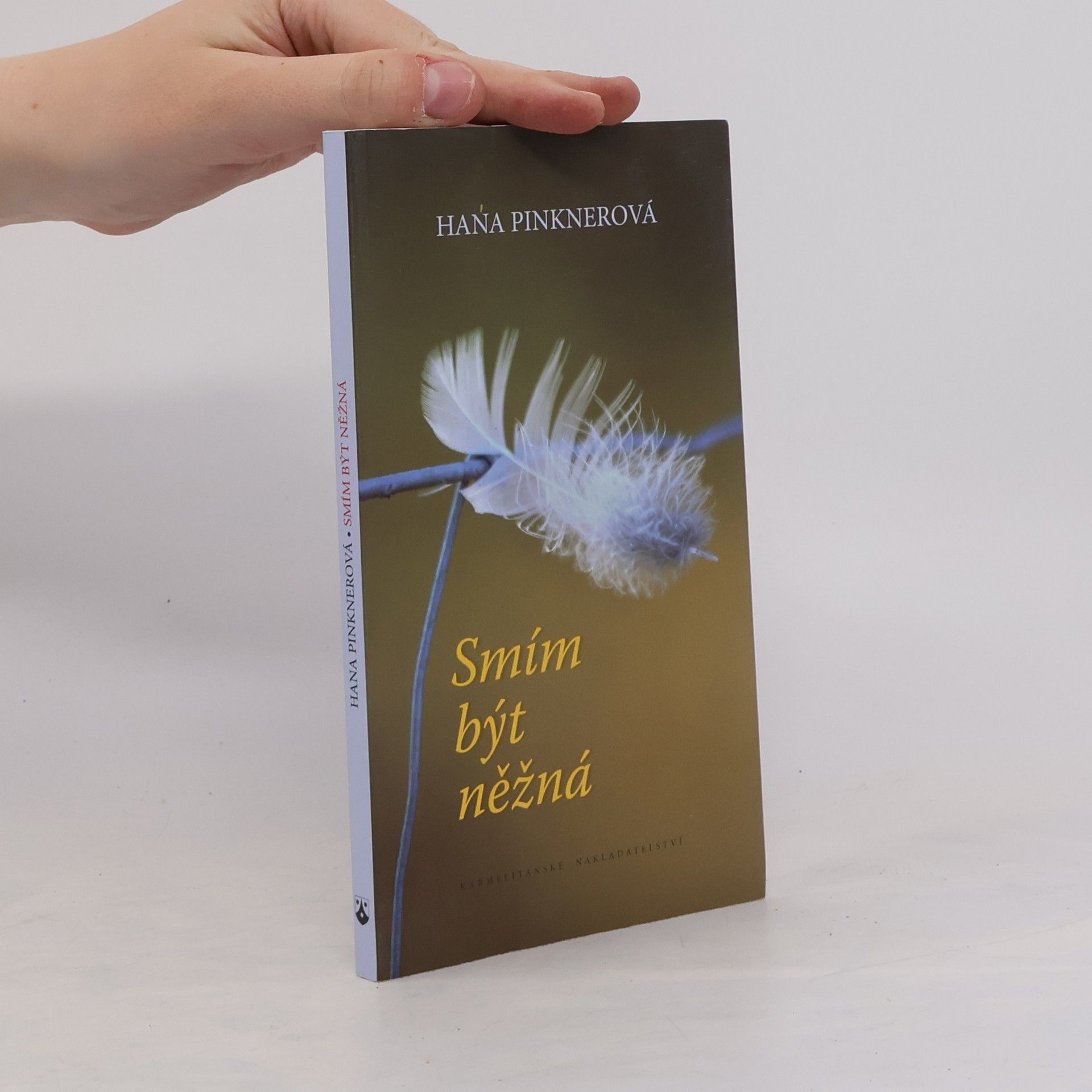 Hana Pinknerová Smím být něžná