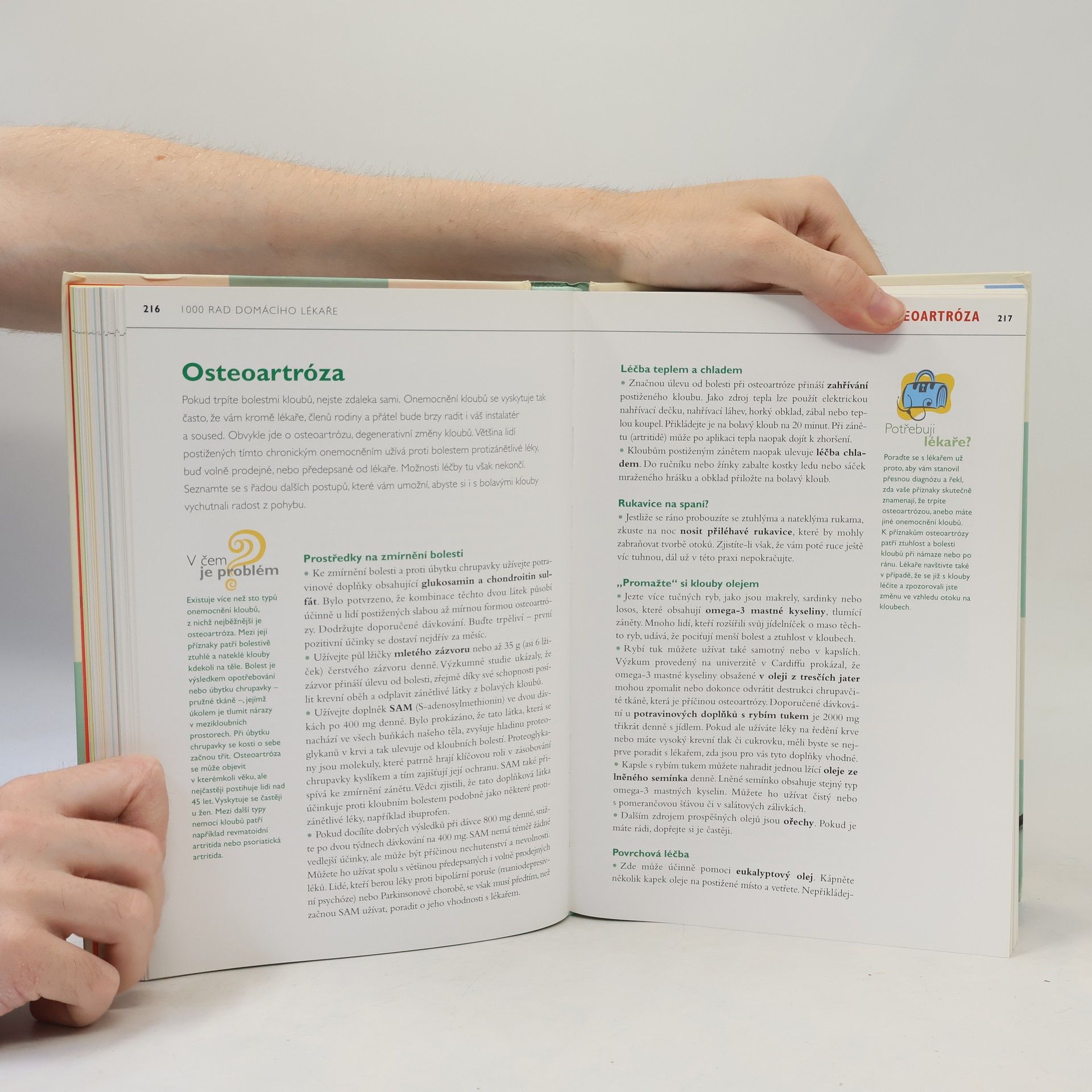 Various authors 1000 rad domácího lékaře. Ověřené způsoby léčení běžných zdravotních obtíží