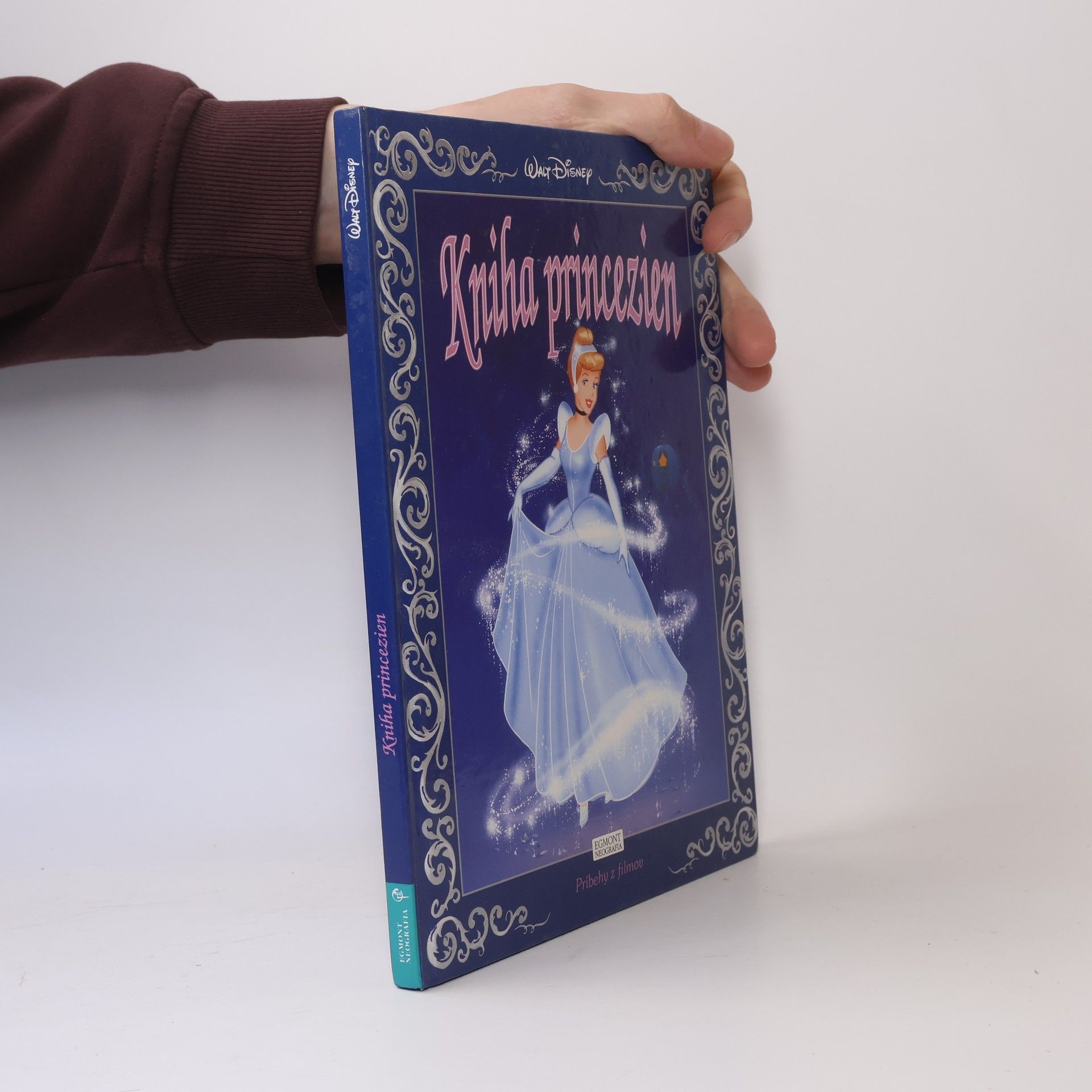 Ann Braybrooks Kniha princezien