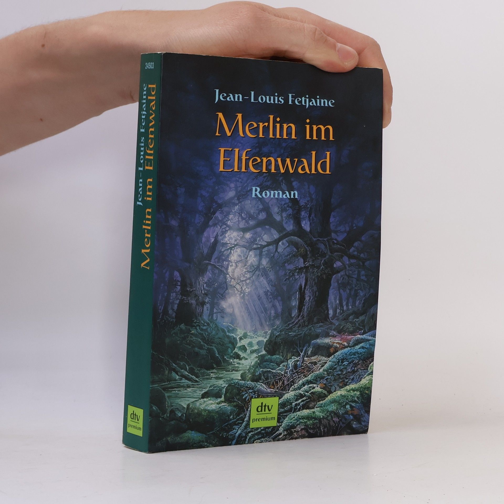 Jean-Louis Fetjaine Merlin im Elfenwald