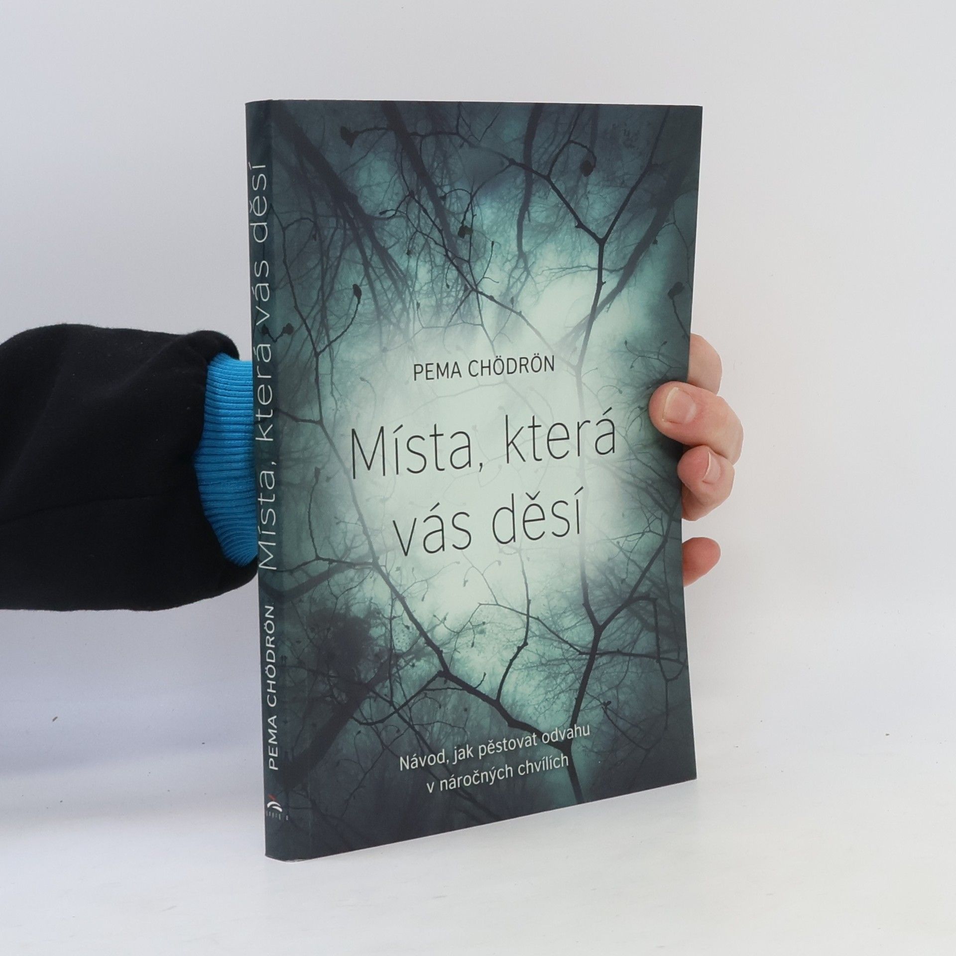 Pema Čhödrön Místa, která vás děsí