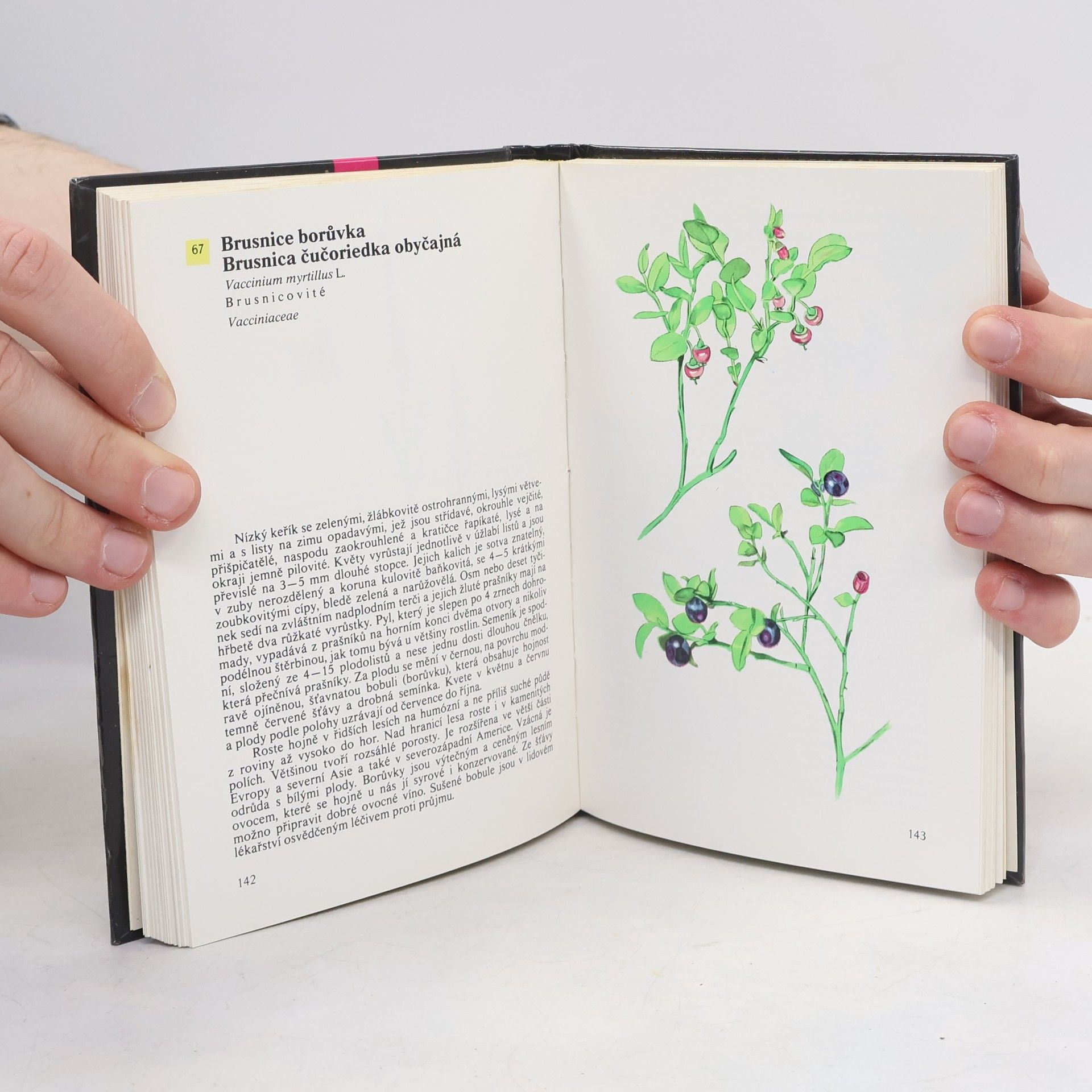 Otto Ušák Kapesní atlas rostlin