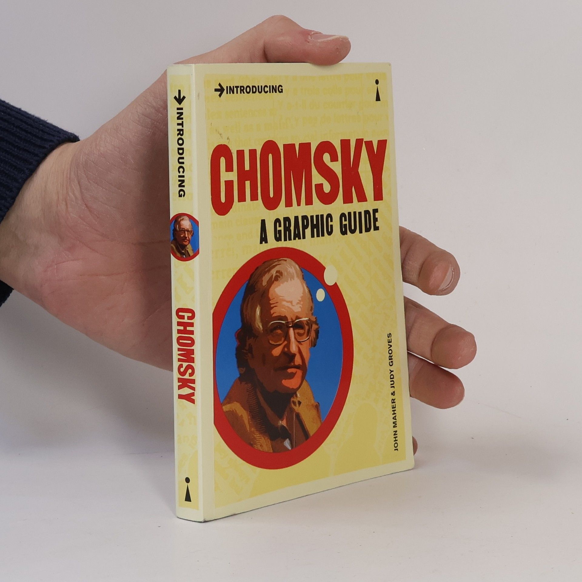 Kolektív autorov Chomsky: a Graphic Guide