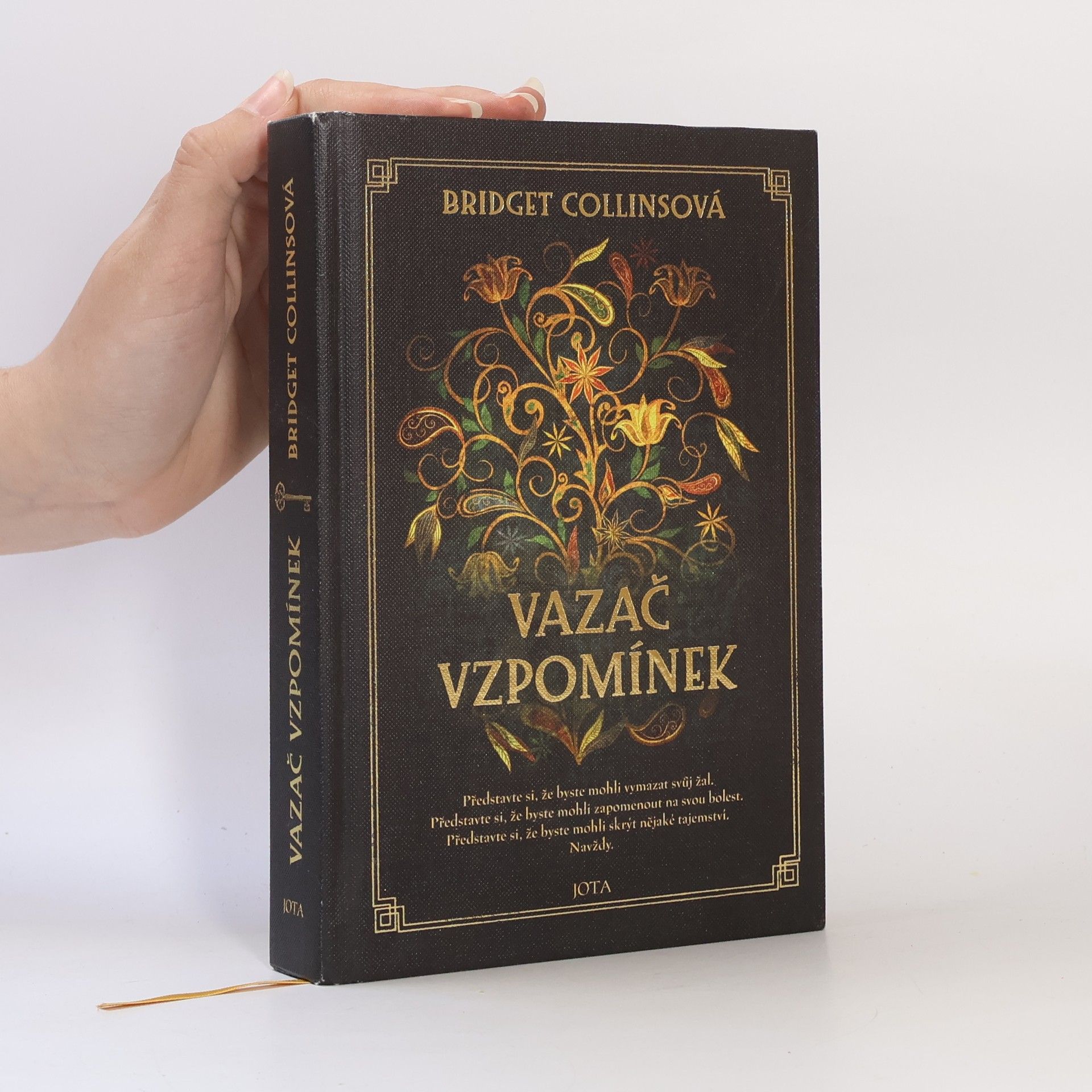 Bridget Collins Vazač vzpomínek