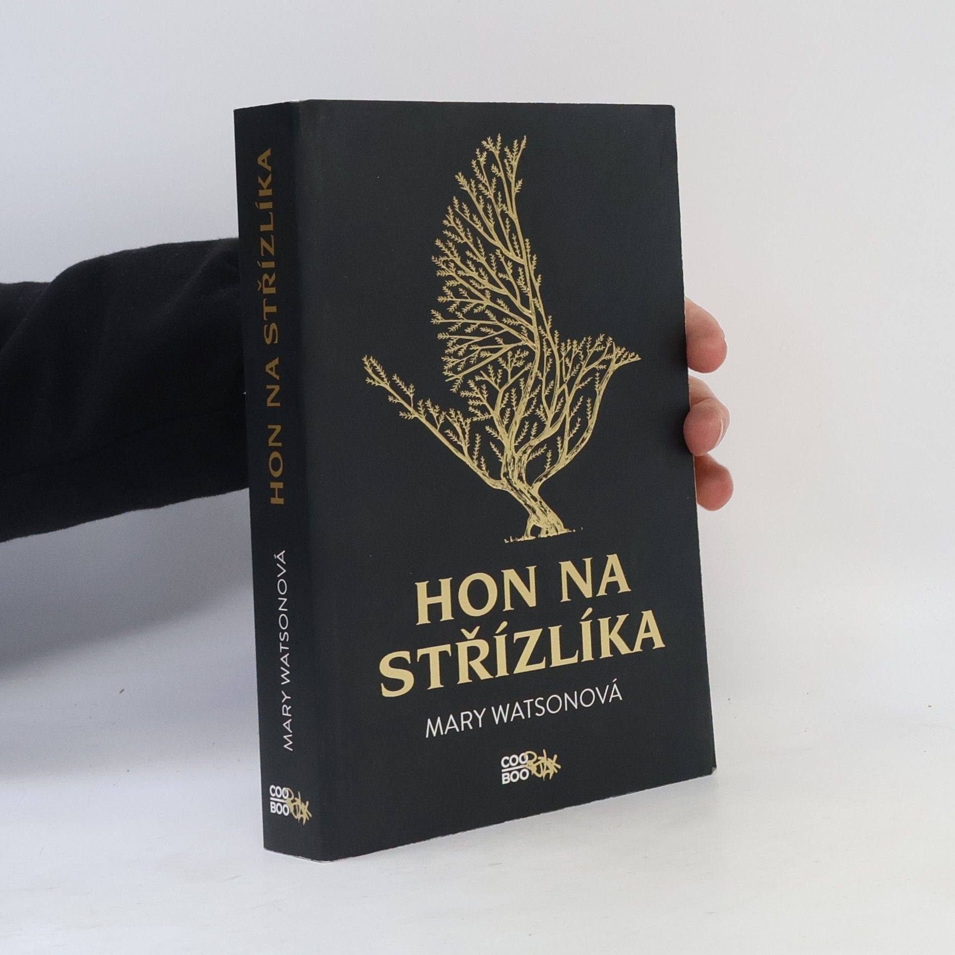 Hon na střízlíka