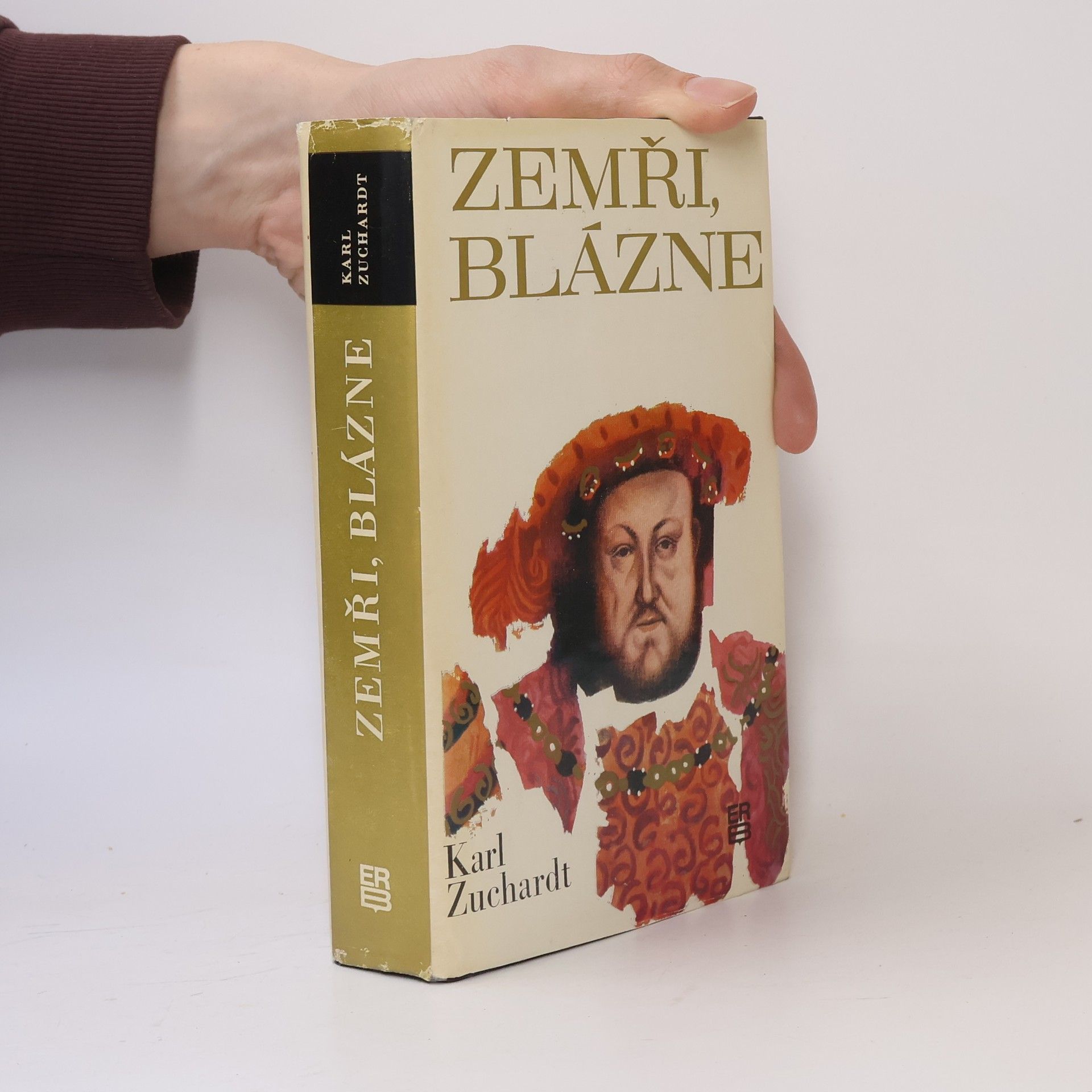 Zemři, blázne