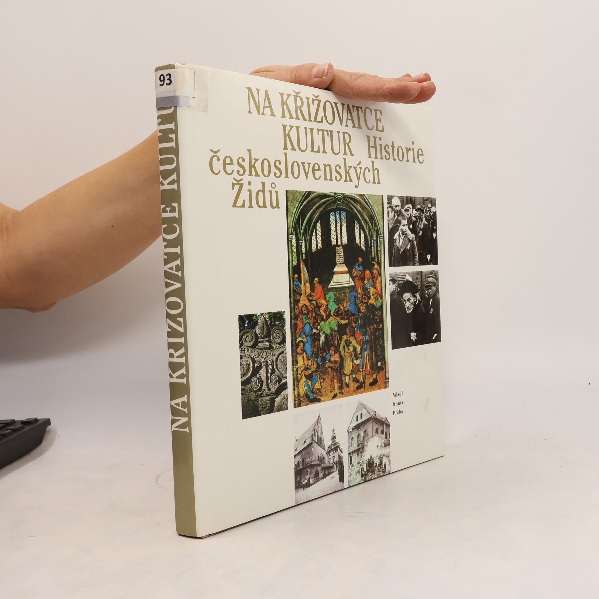 Kolektív autorov Na křižovatce kultur: Historie československých Židů