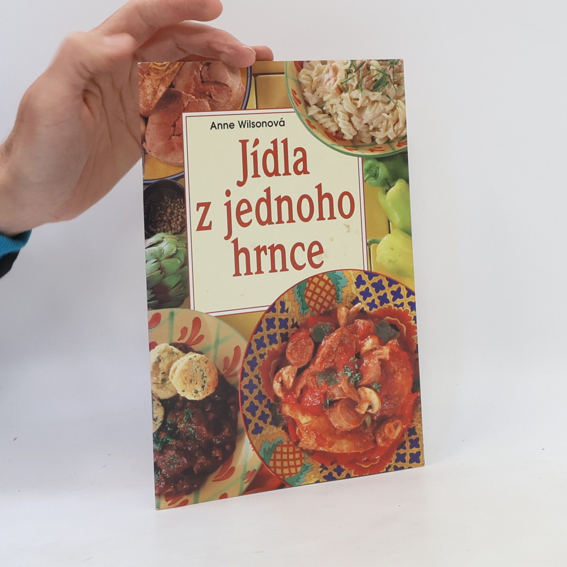Anne Wilson Jídla z jednoho hrnce