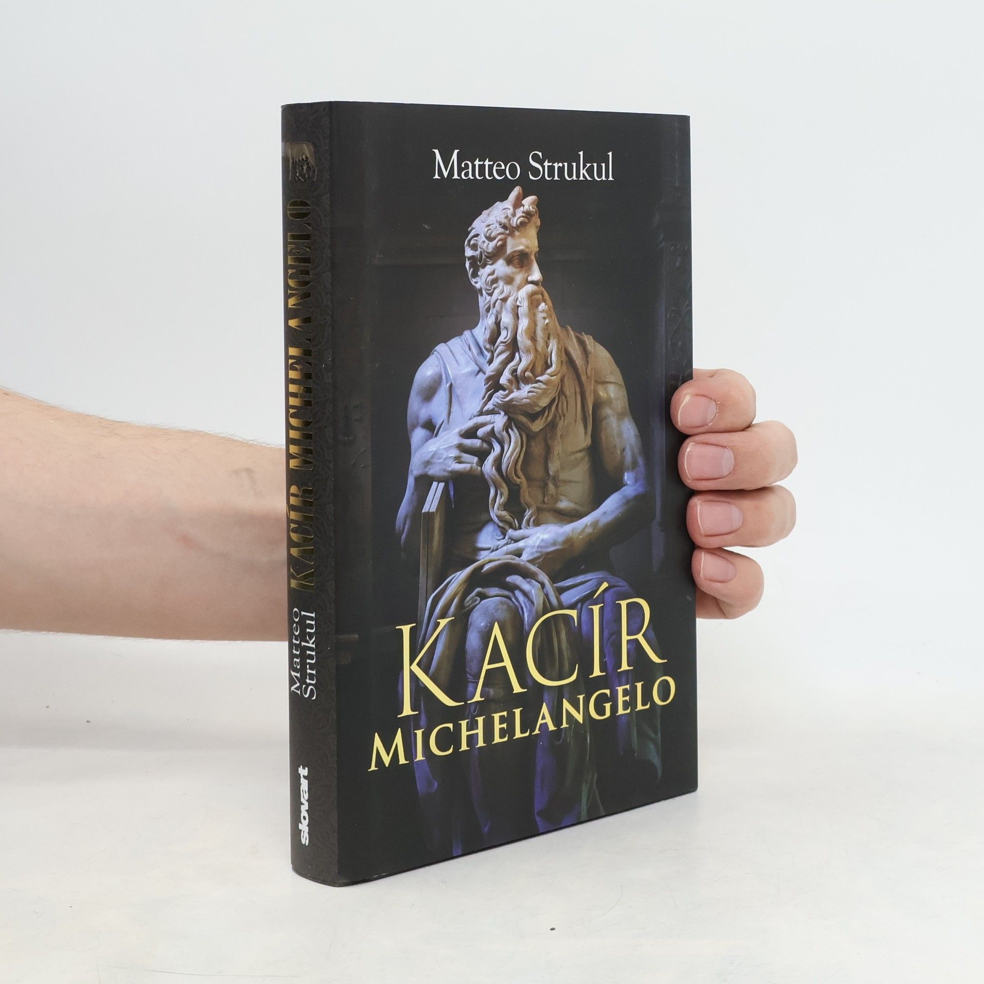 Matteo Strukul Kacír Michelangelo