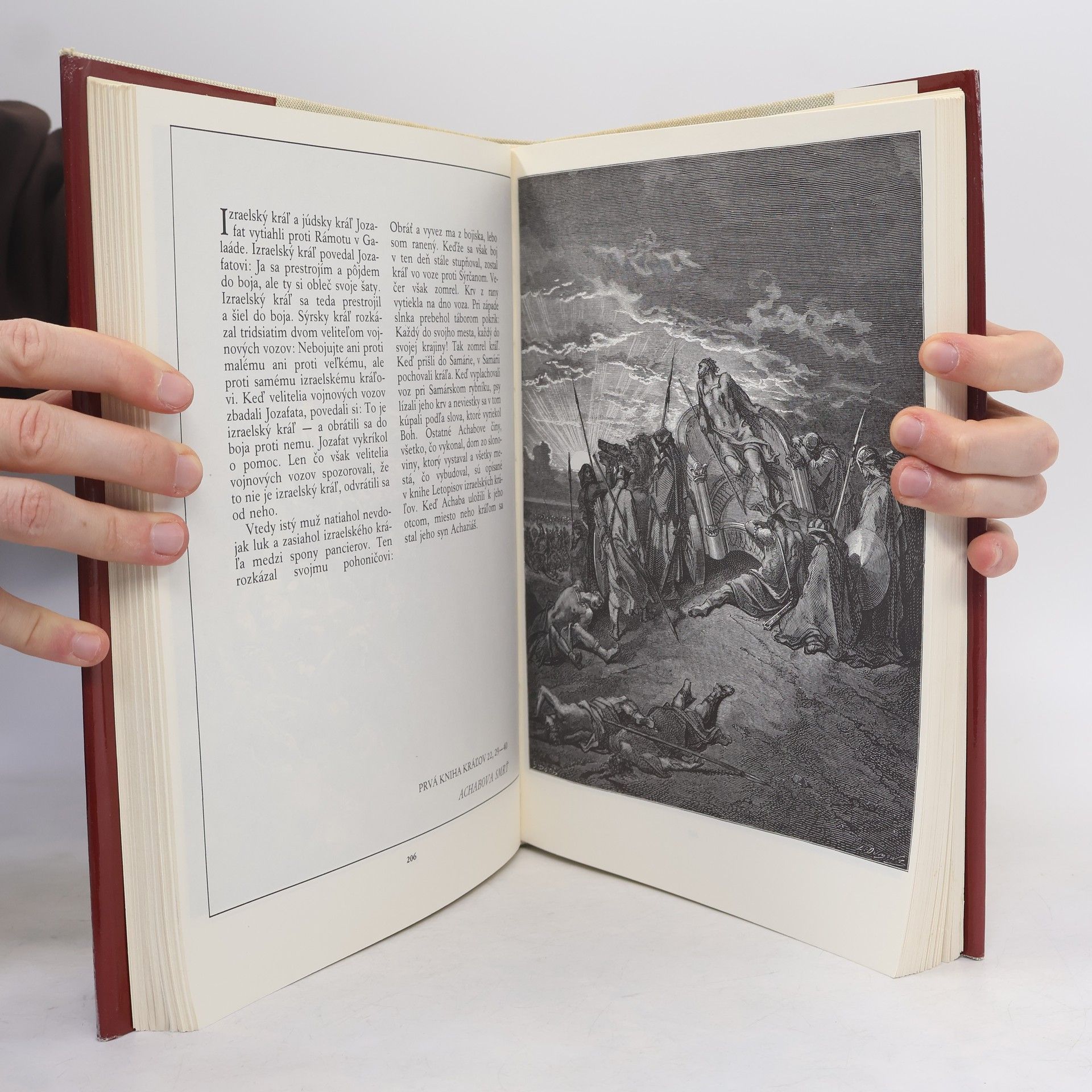 Jan Plesník Gustave Doré. Biblia