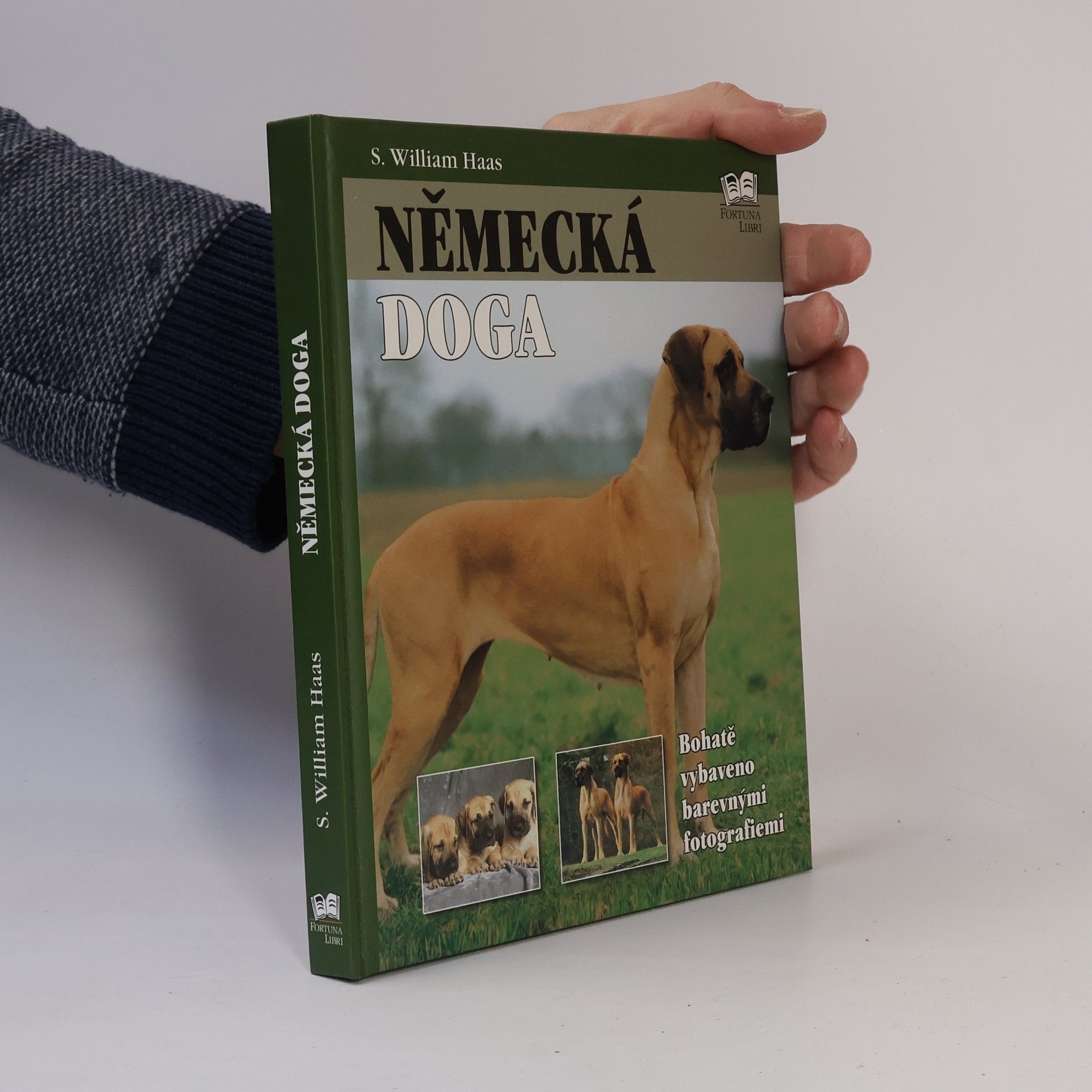 S. William Haas Německá doga