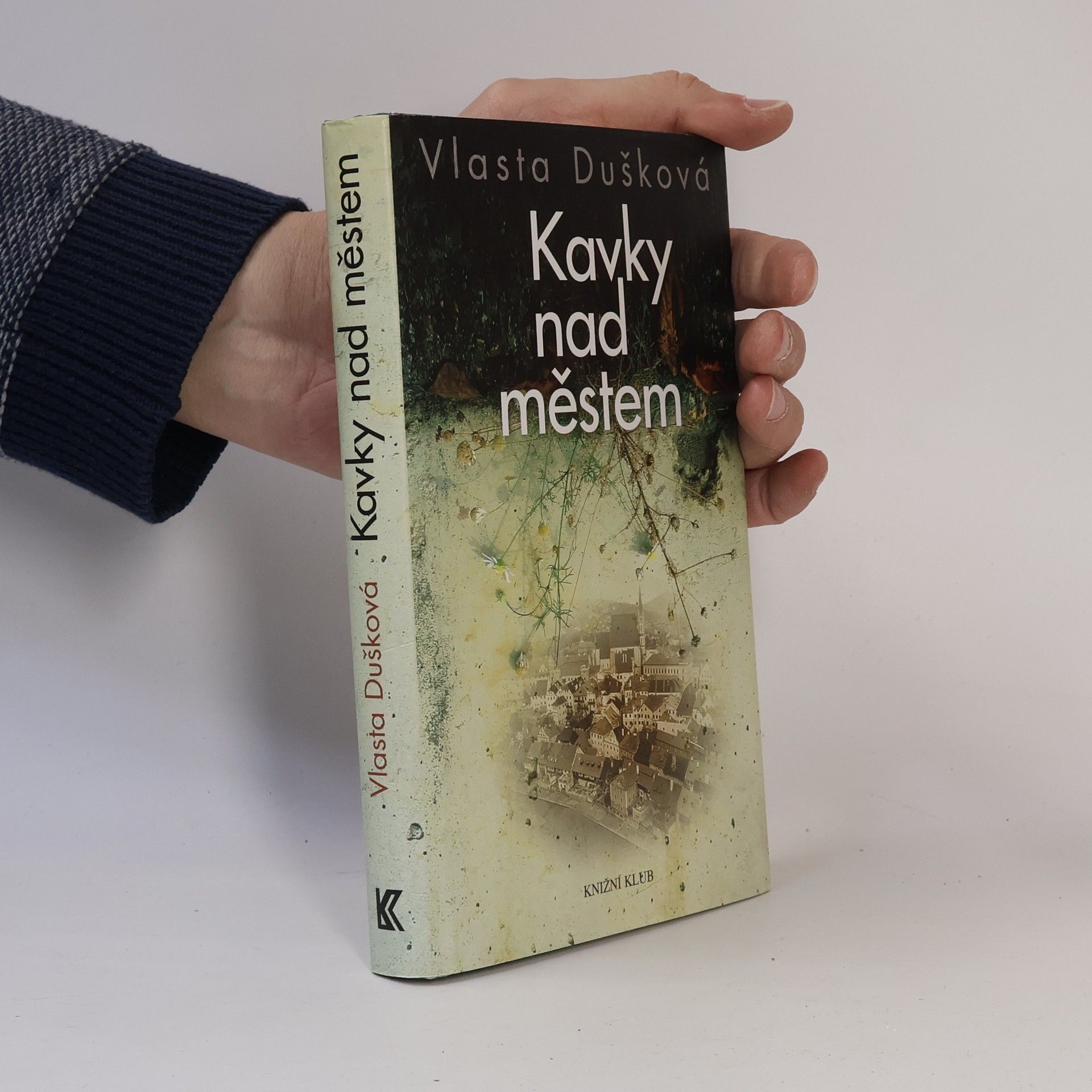 Vlasta Dušková Kavky nad městem