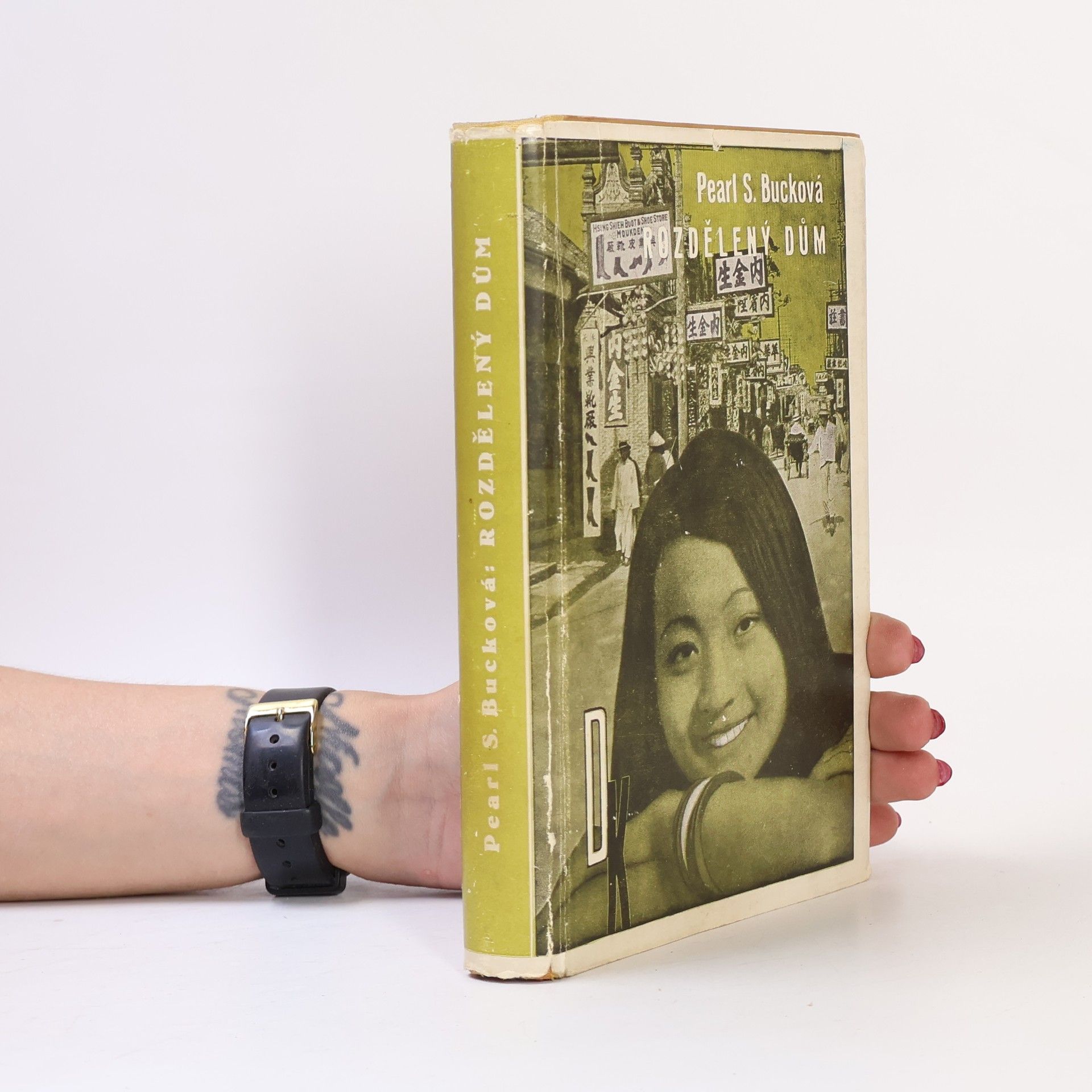 Pearl S. Buck Rozdělený dům