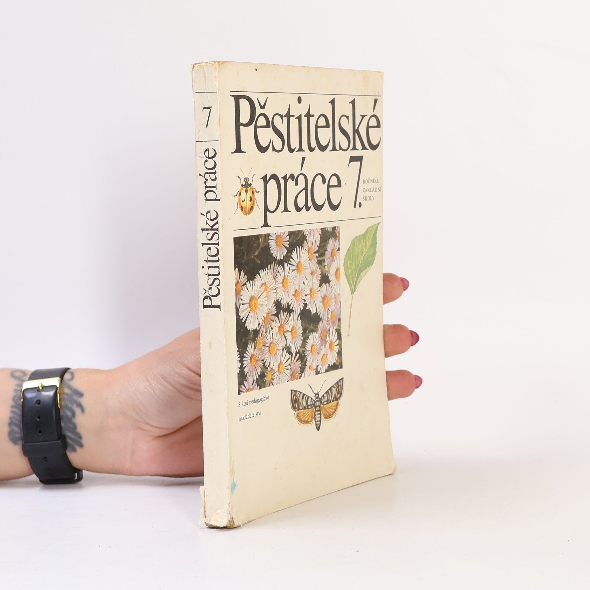 Autorenkollektiv Pěstitelské práce 7. ročníku základní školy