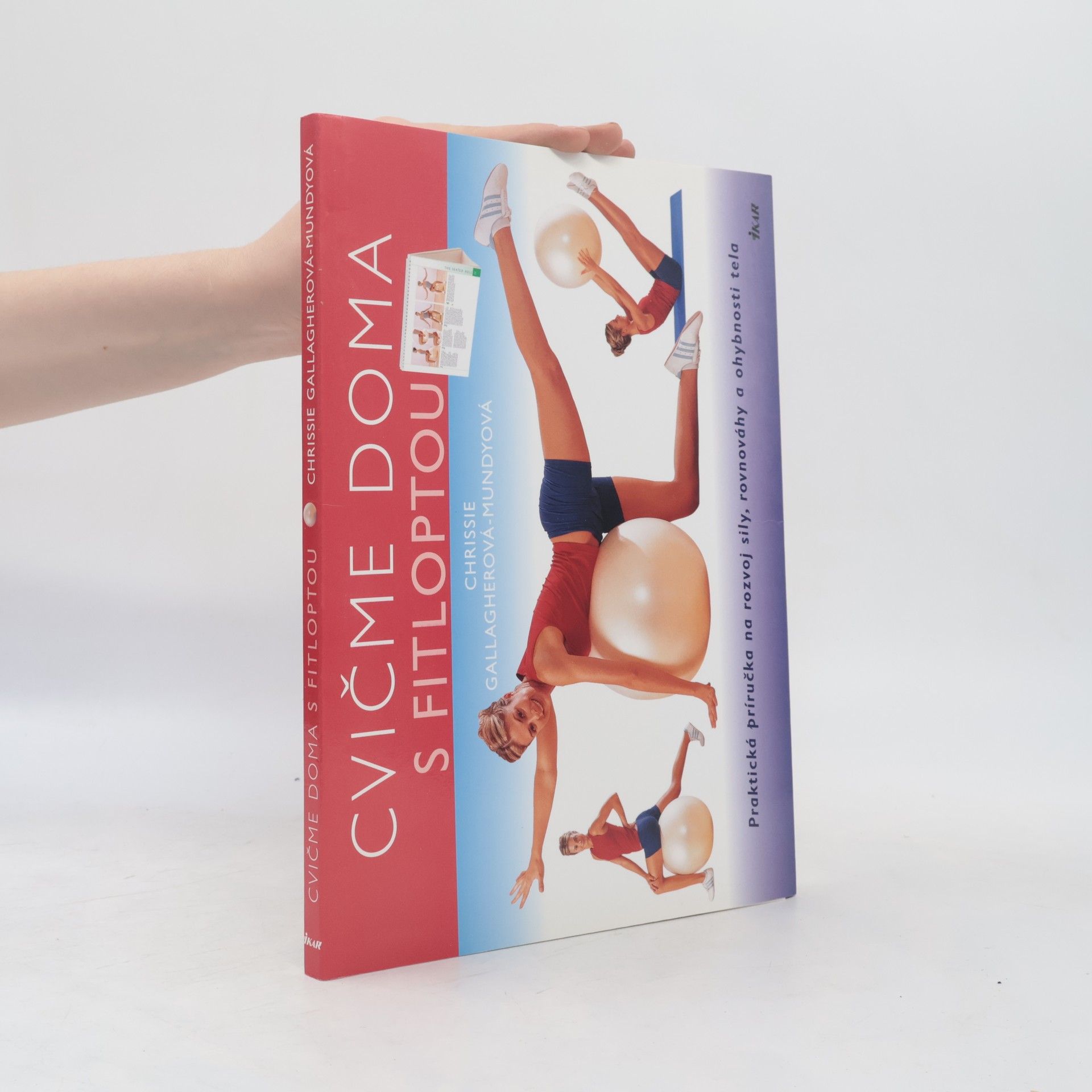 Chrissie Gallagher Mundy Cvičíme doma s fitloptou