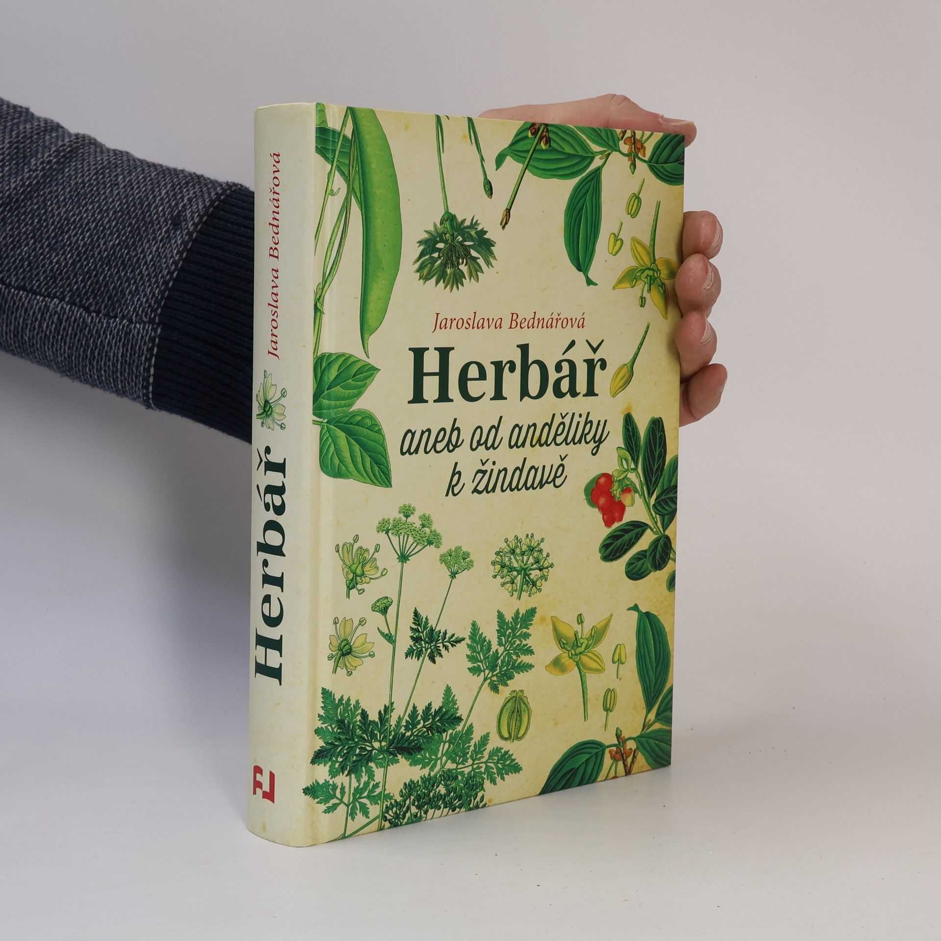 Jaroslava Bednářová Herbář, aneb, Od anděliky k žindavě