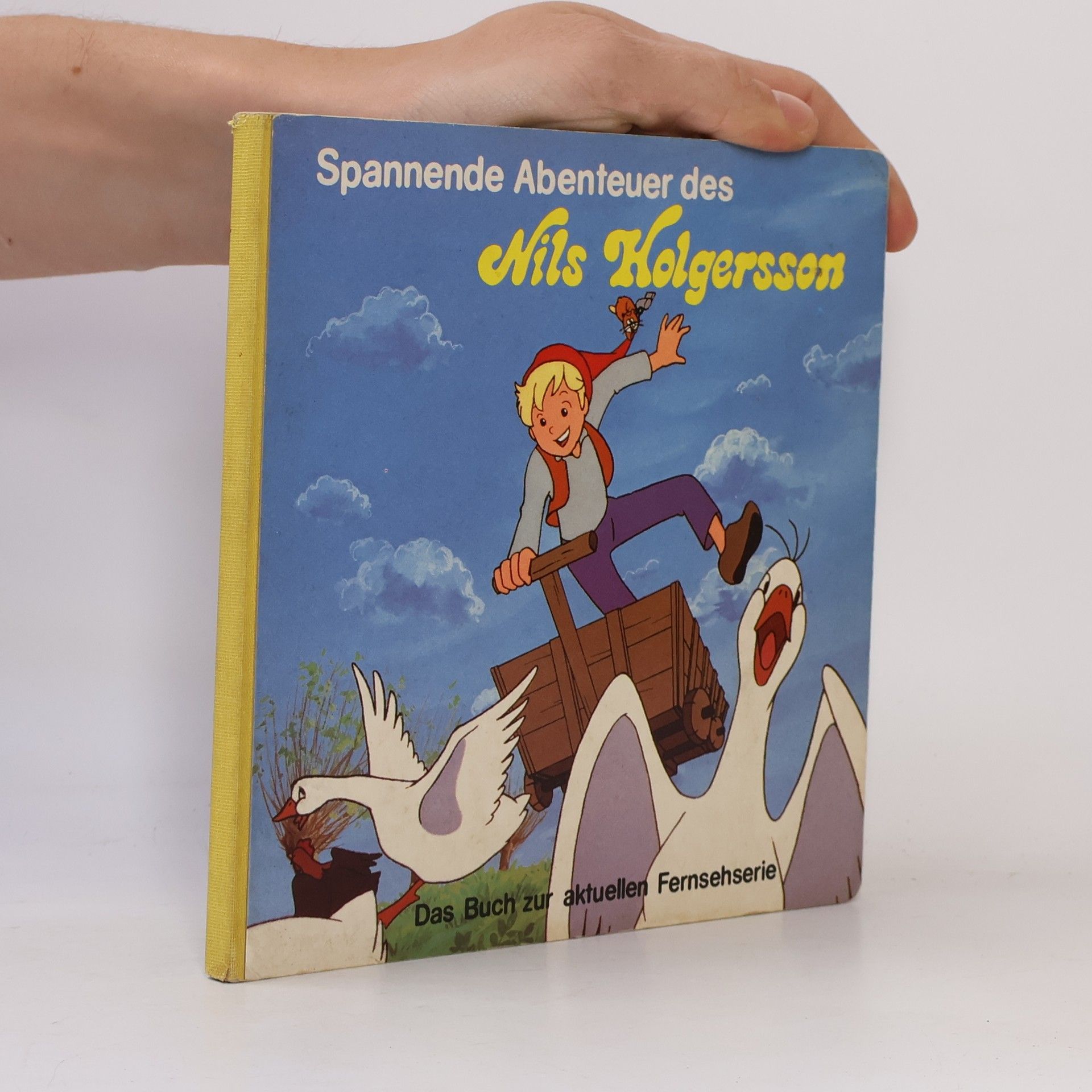 Autorenkollektiv Spannende Abenteuer des Nils Holgersson