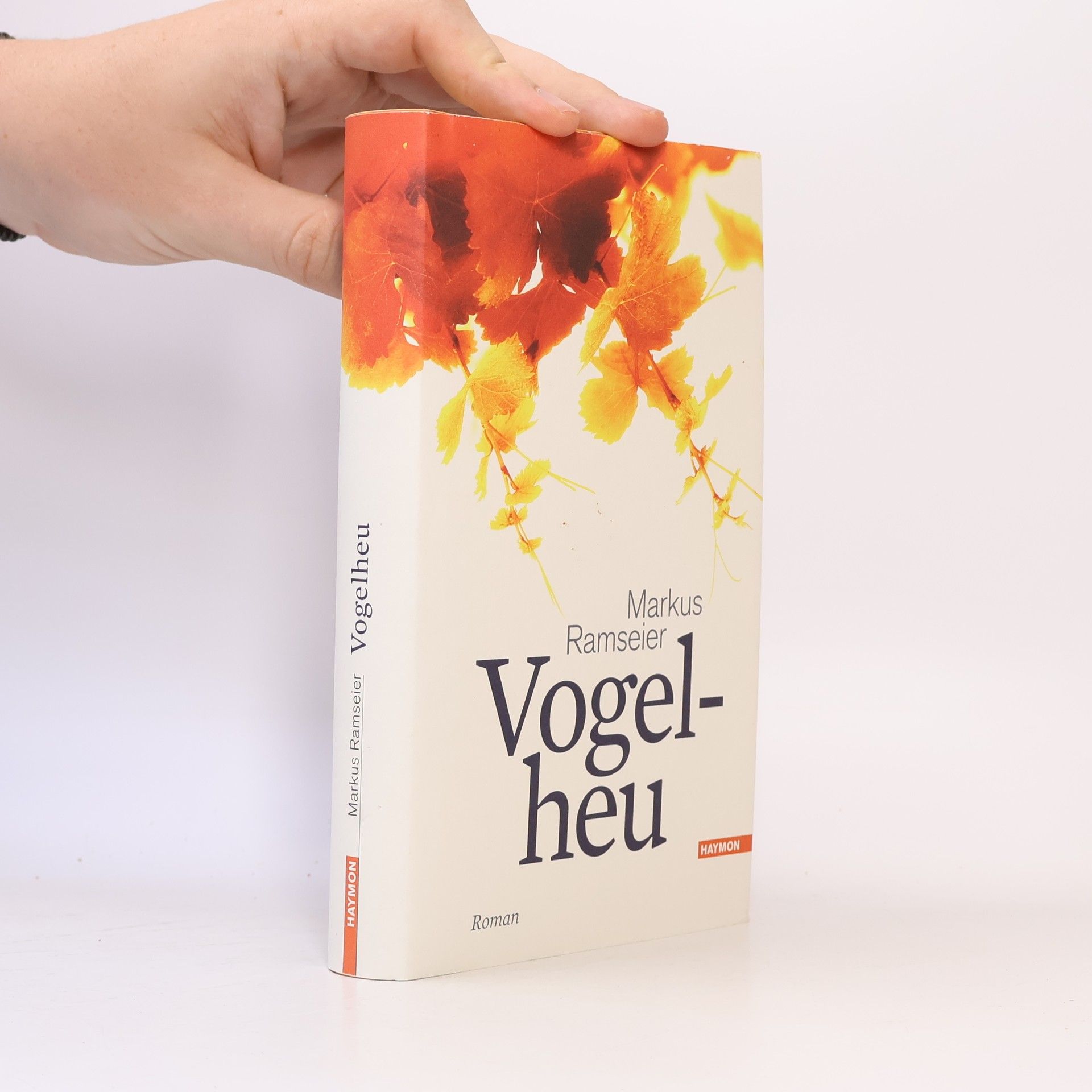 Markus Ramseier Vogelheu