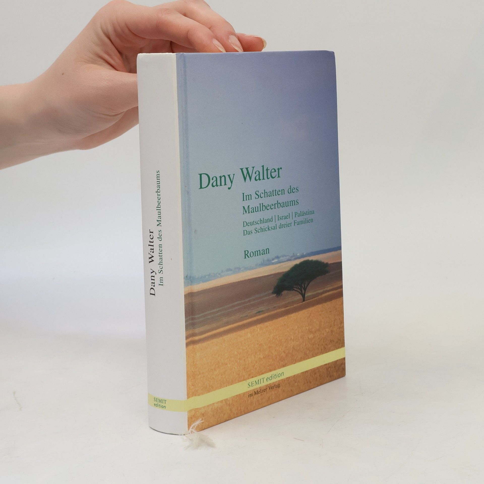 Dany Walter Im Schatten des Maulbeerbaumes