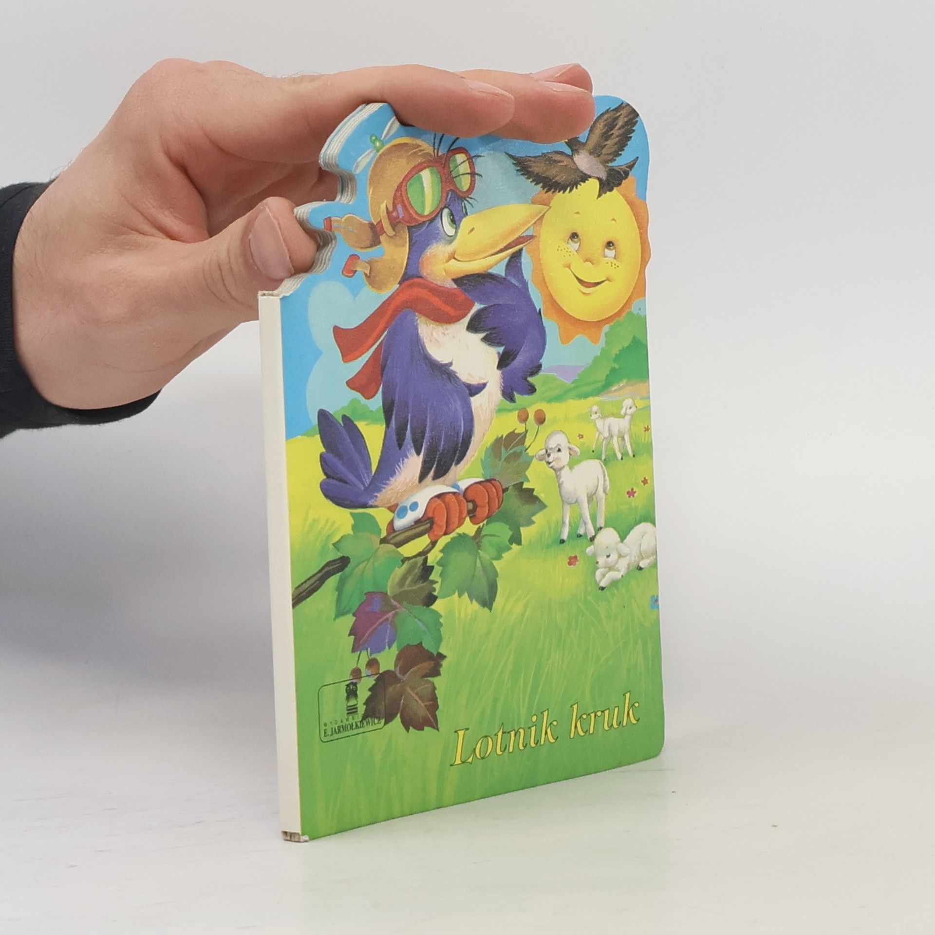 Autores varios Lotnik kruk