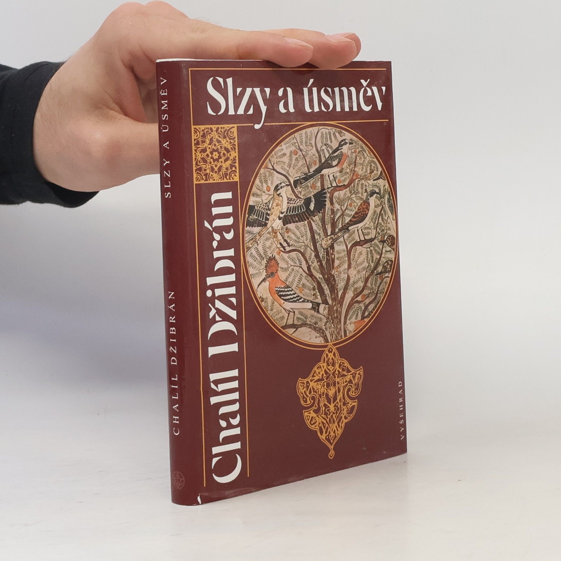 Vlasta Hesounová Slzy a úsměv