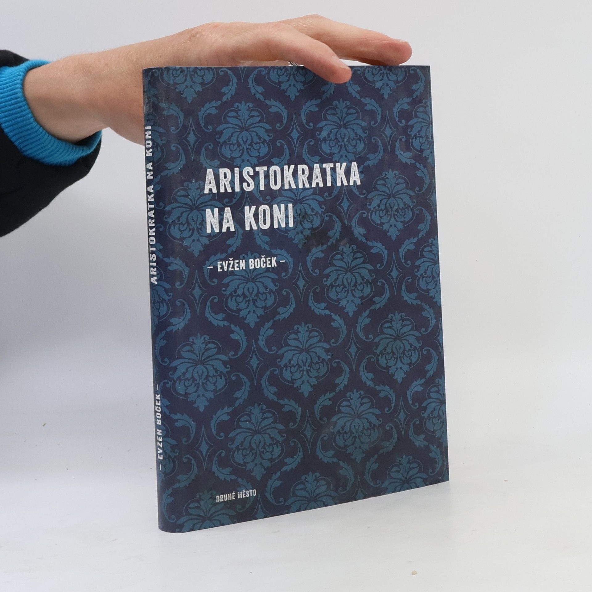 Evžen Boček Aristokratka na koni