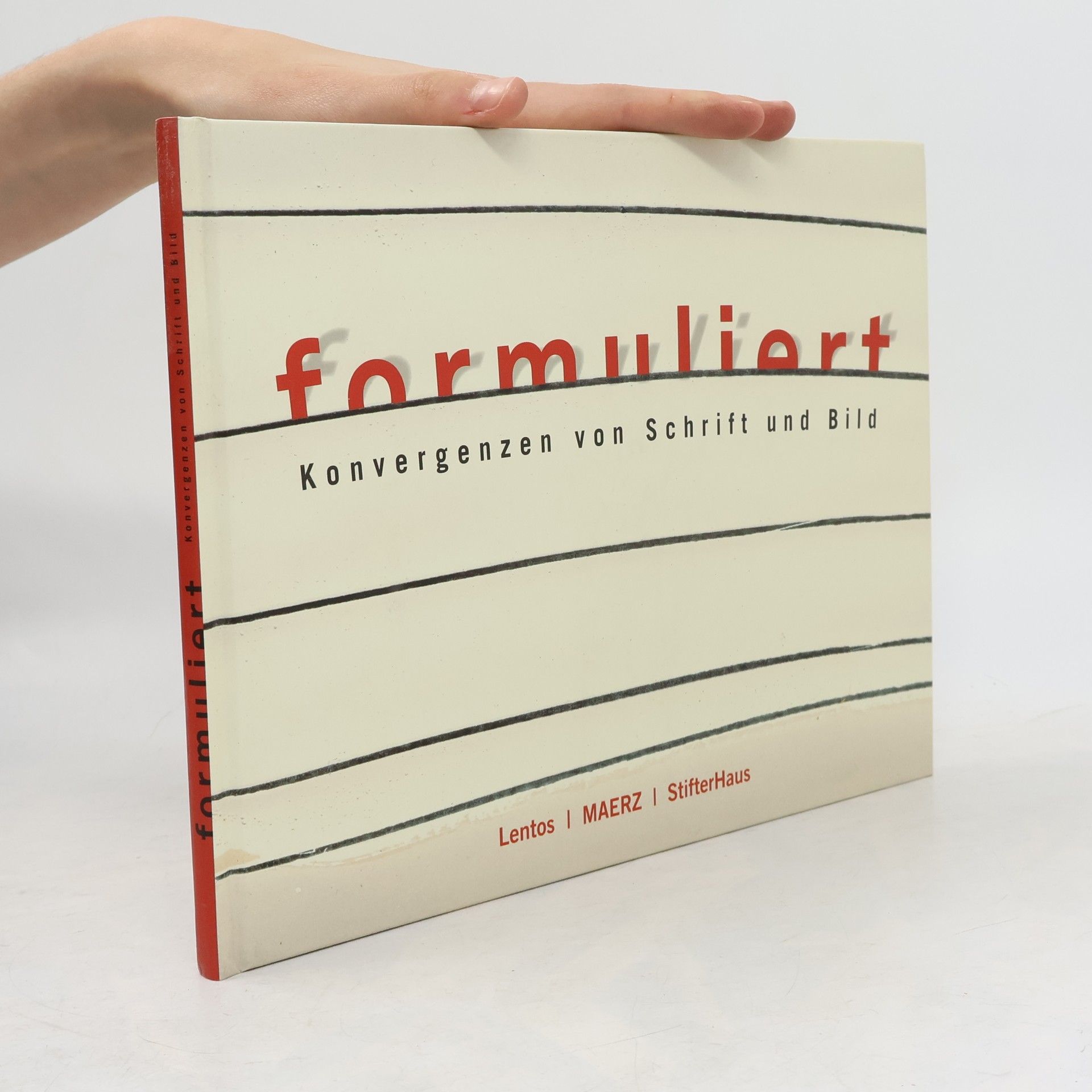 Regina Pintar Formuliert - Konvergenzen von Schrift und Bild