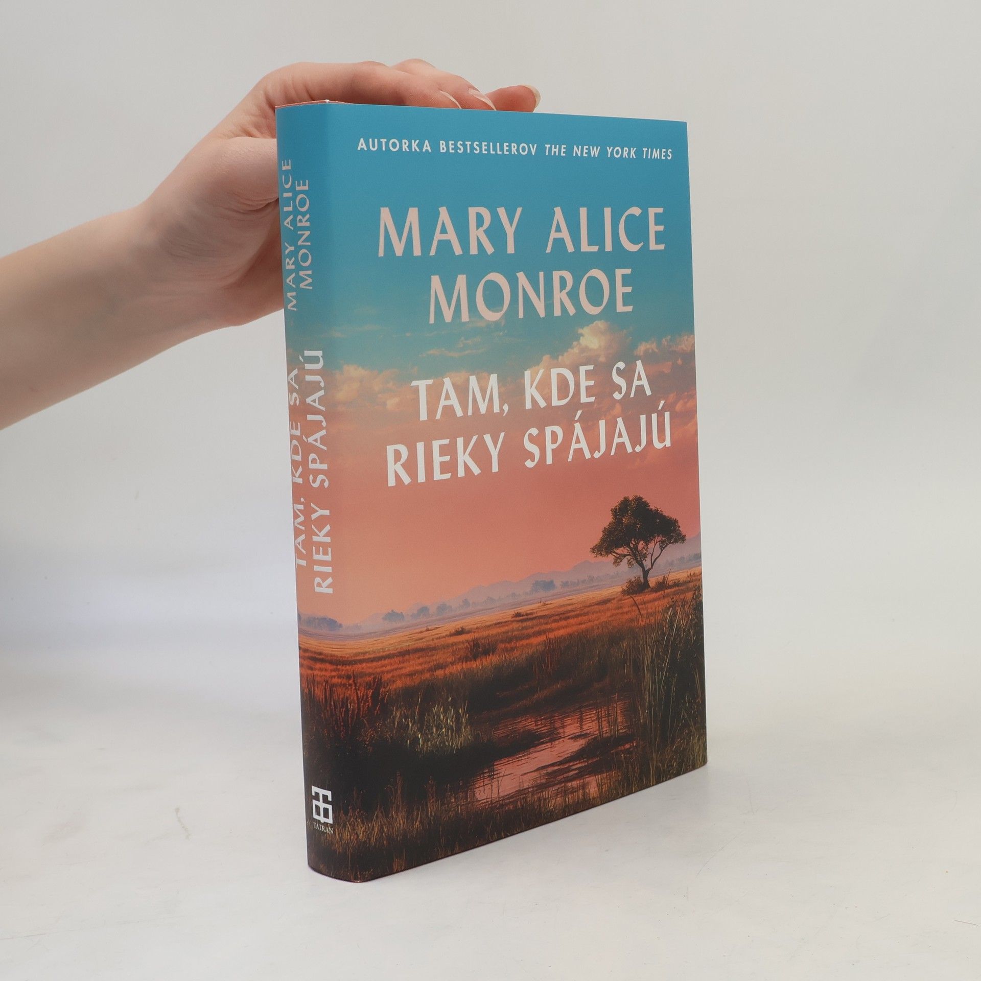 Mary Alice Monroe Tam, kde sa rieky spájajú