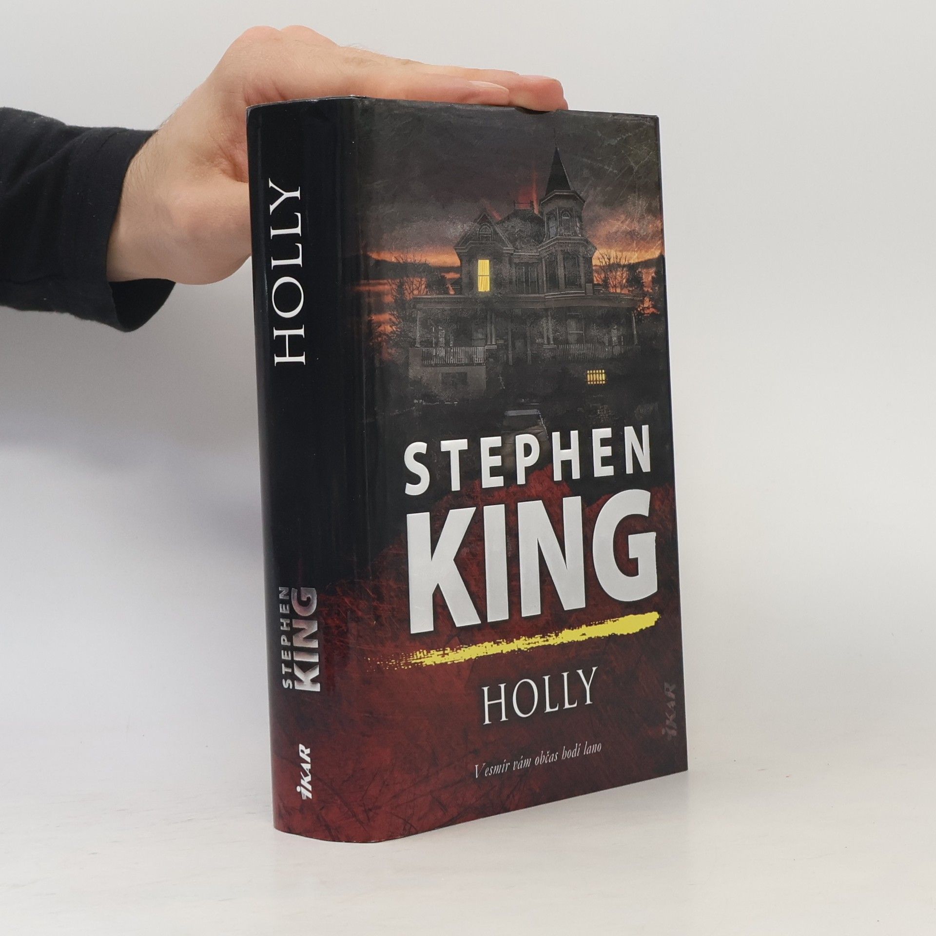 Stephen King Holly
