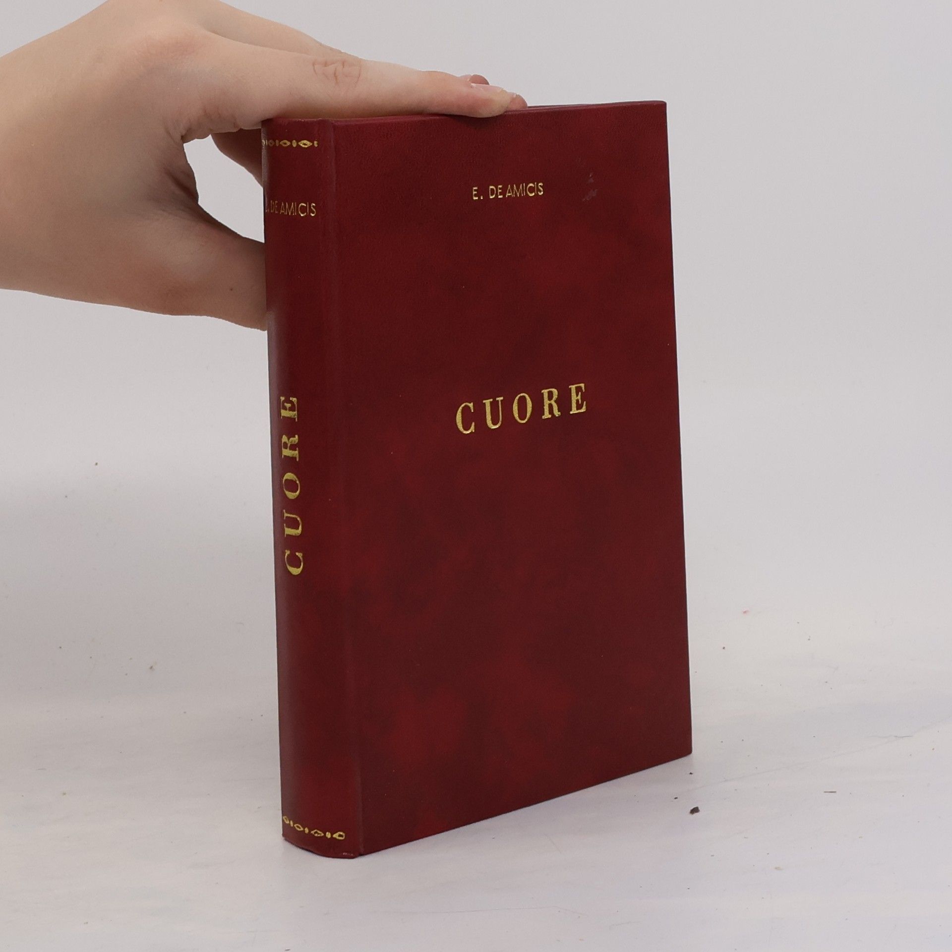 E. de Amicis Cuore