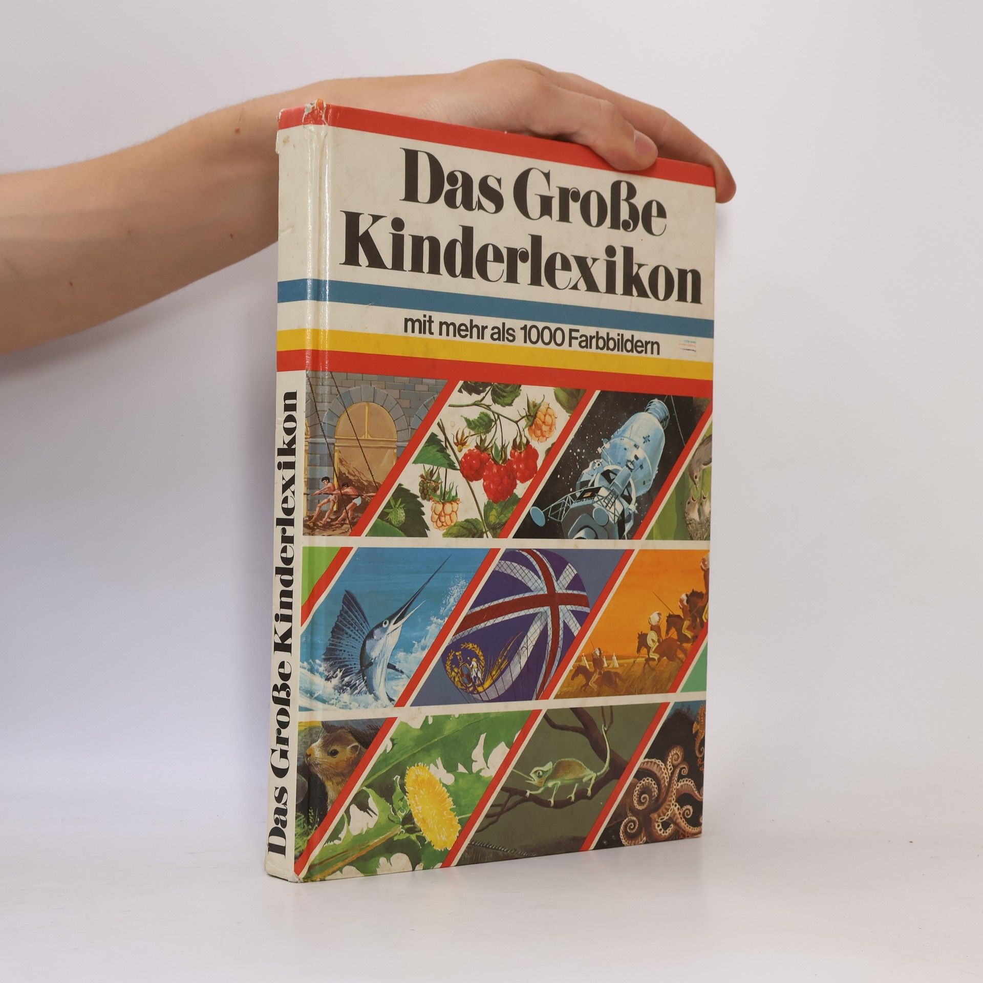 Autorenkollektiv Das Große Kinderlexikon
